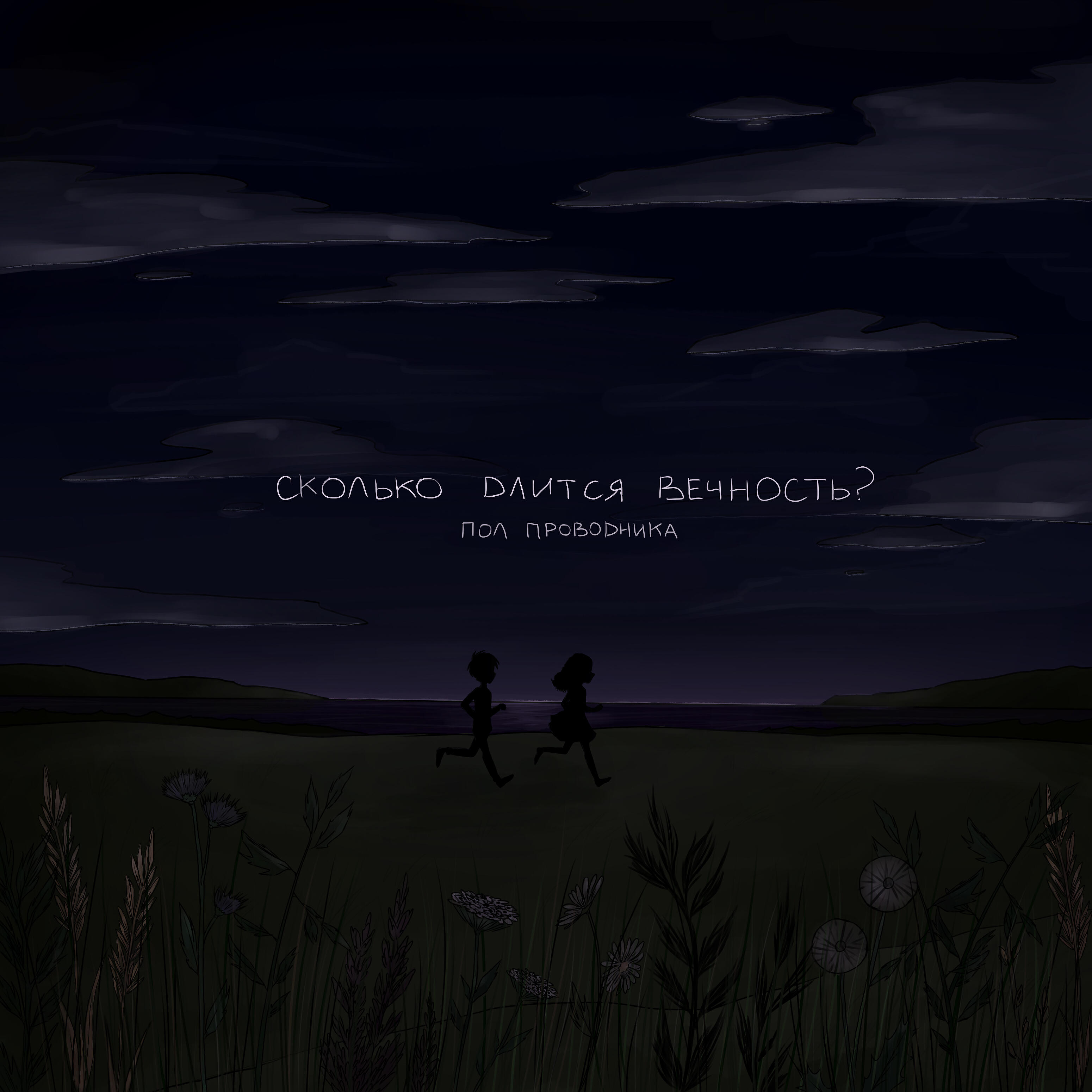 Пол проводника