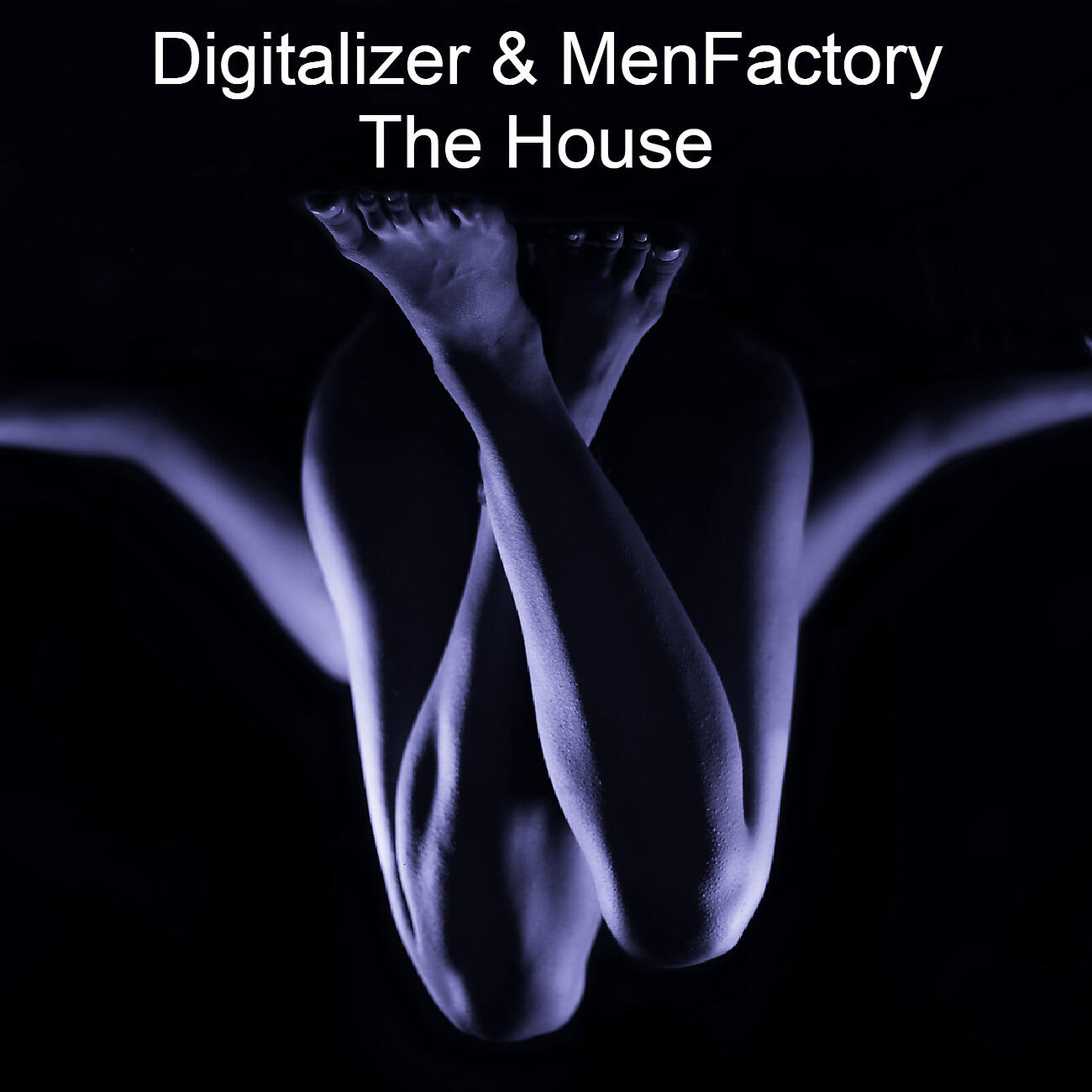 Digitalizer