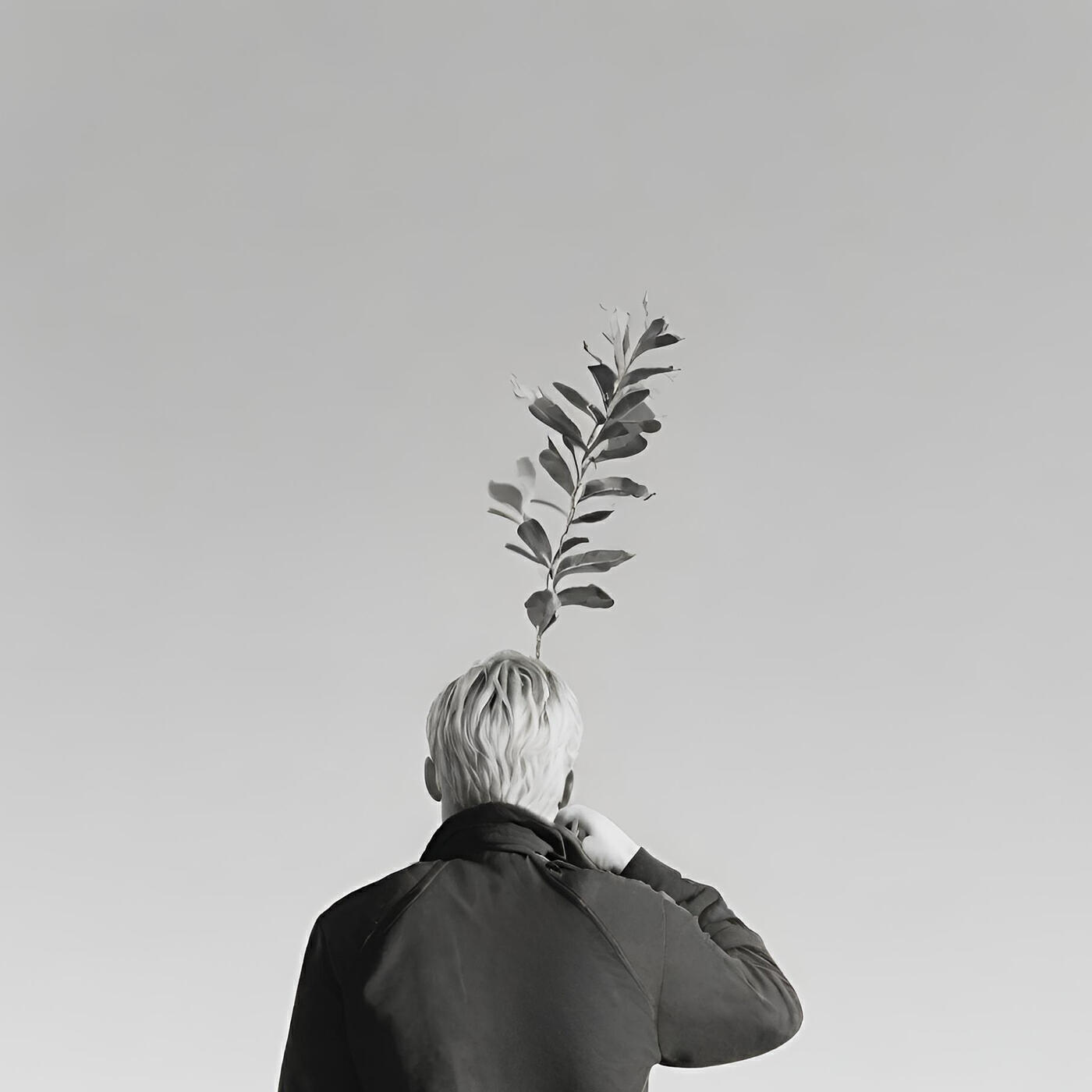 Релиз Foglie Di Alloro