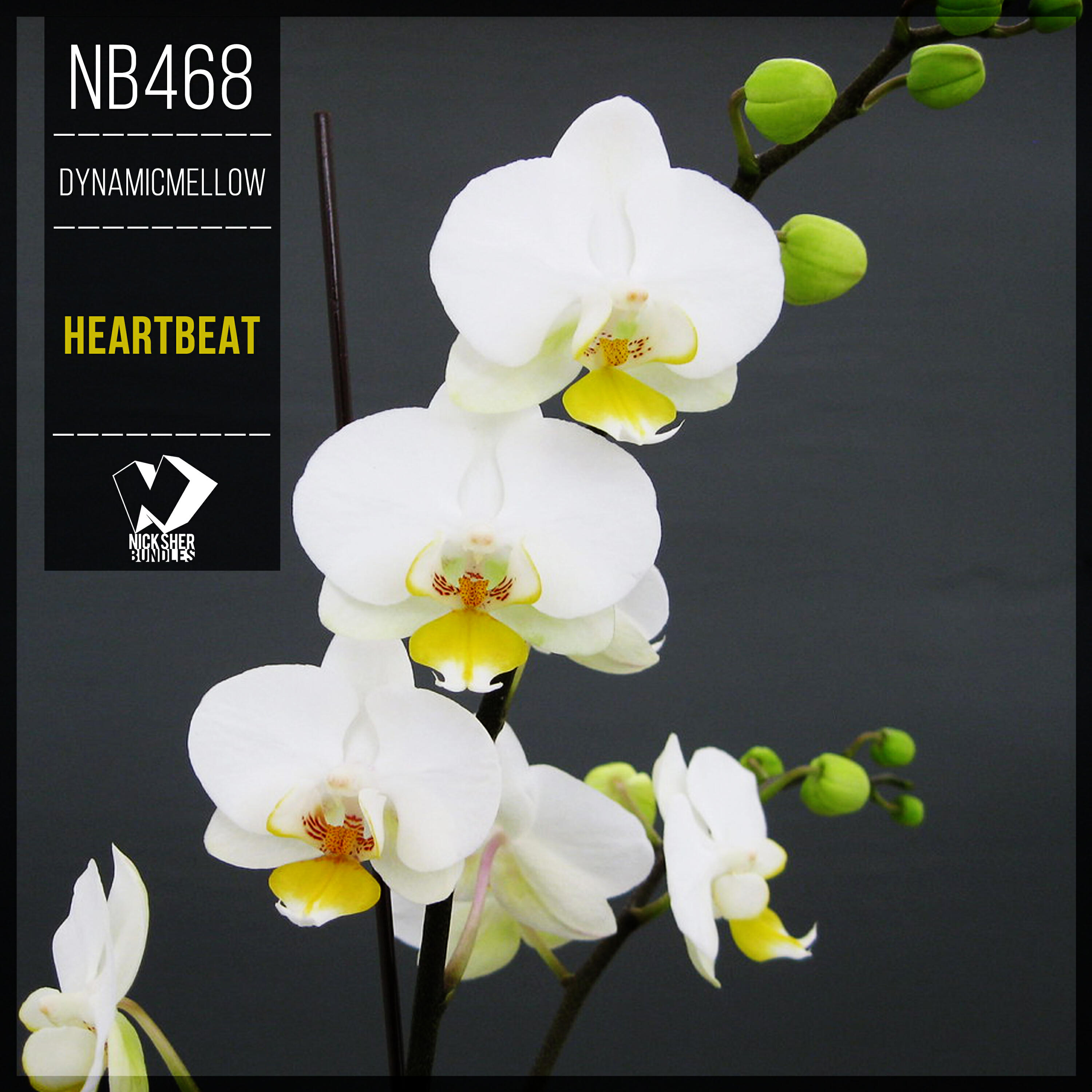 Релиз Heartbeat