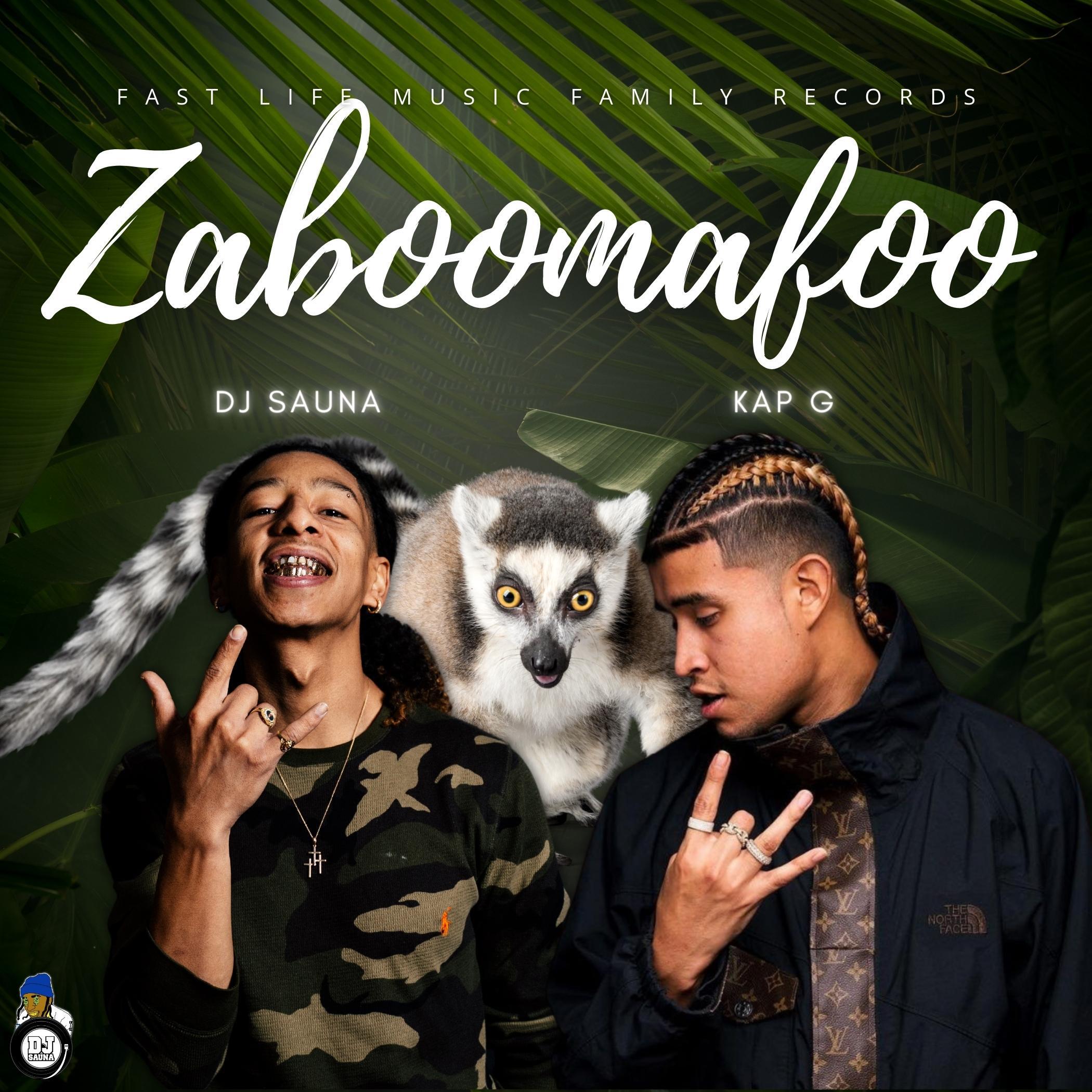 Релиз Zaboomafoo