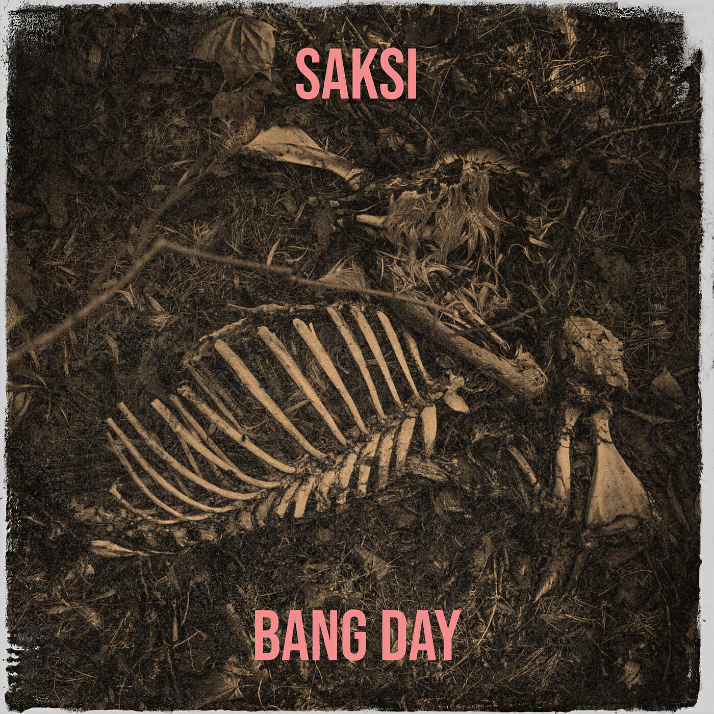 Релиз Saksi