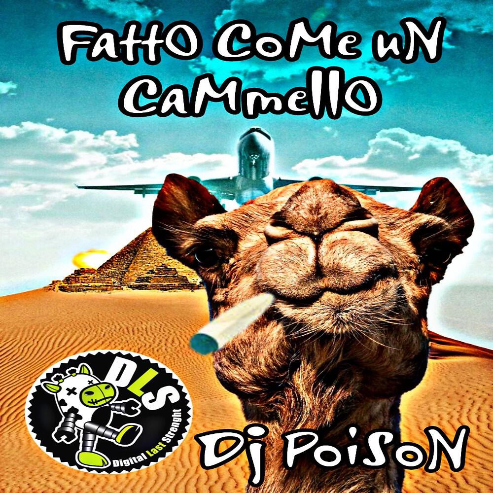 Релиз Fatto come un Cammello