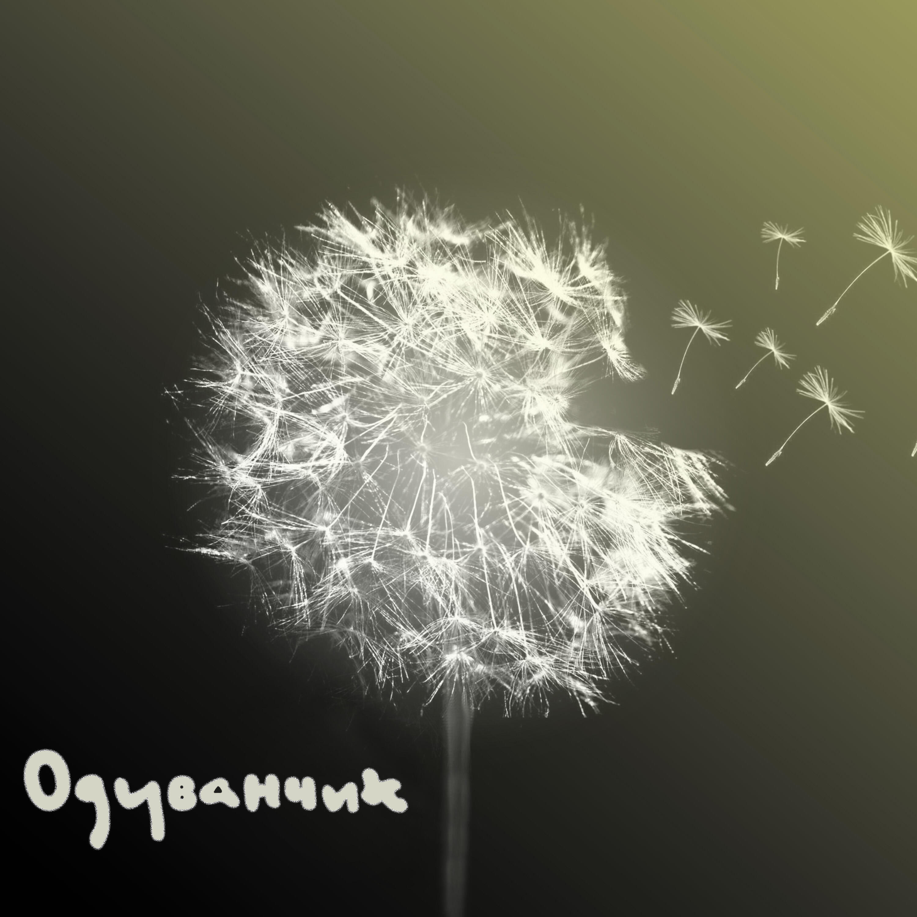 Релиз Одуванчик