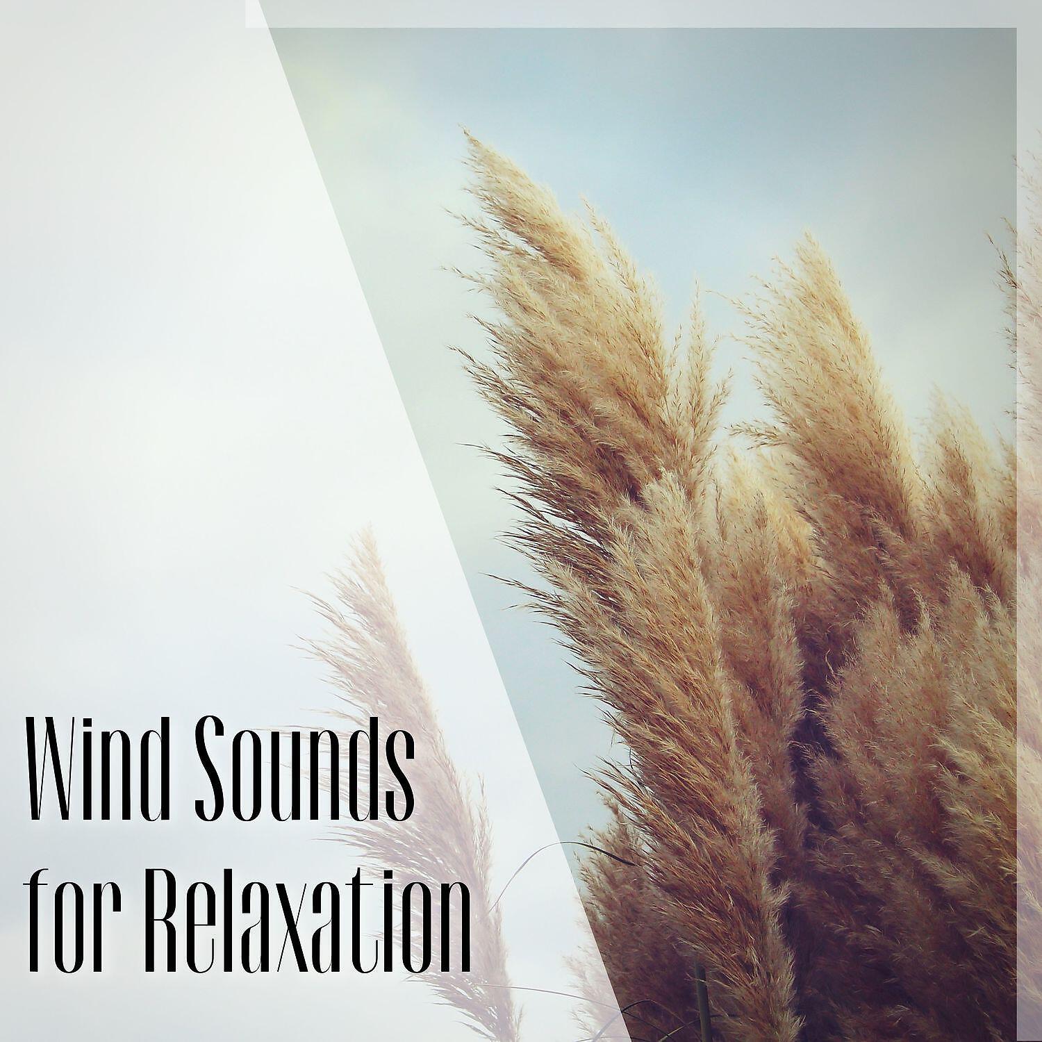 Релиз Wind Sounds for Relaxation and Meditation
