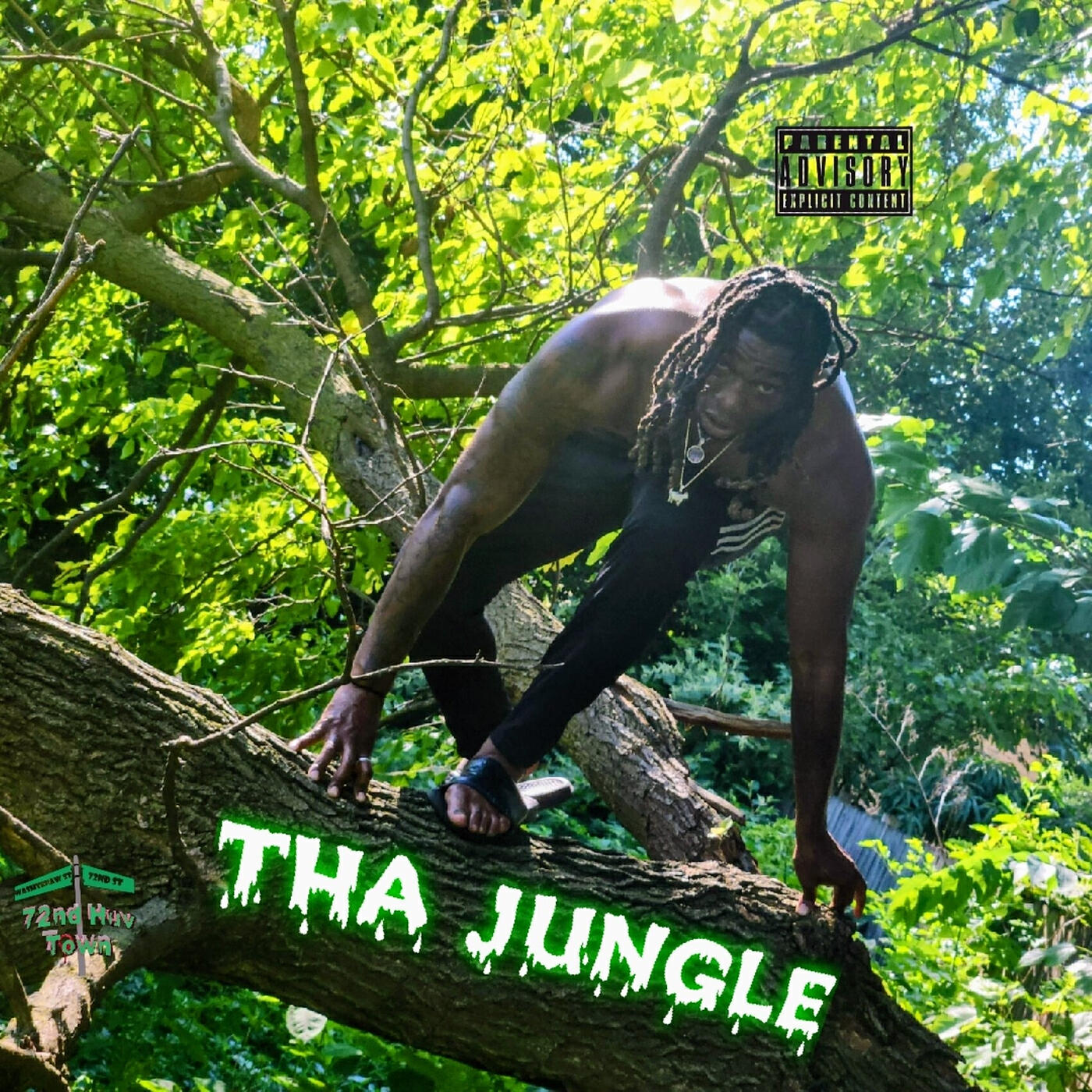 Релиз Tha Jungle Mixtape
