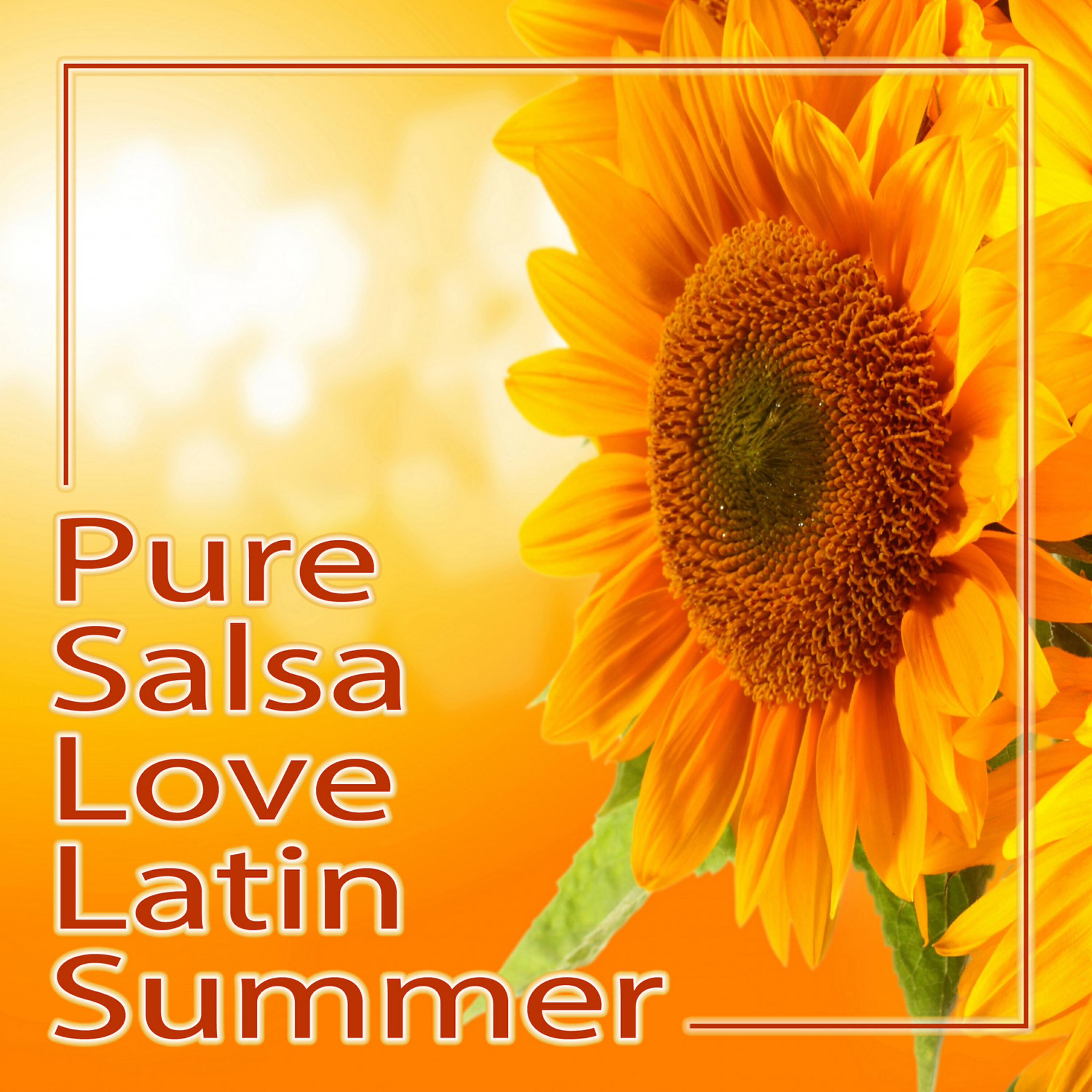 Релиз Pure Salsa Love Latin Summer