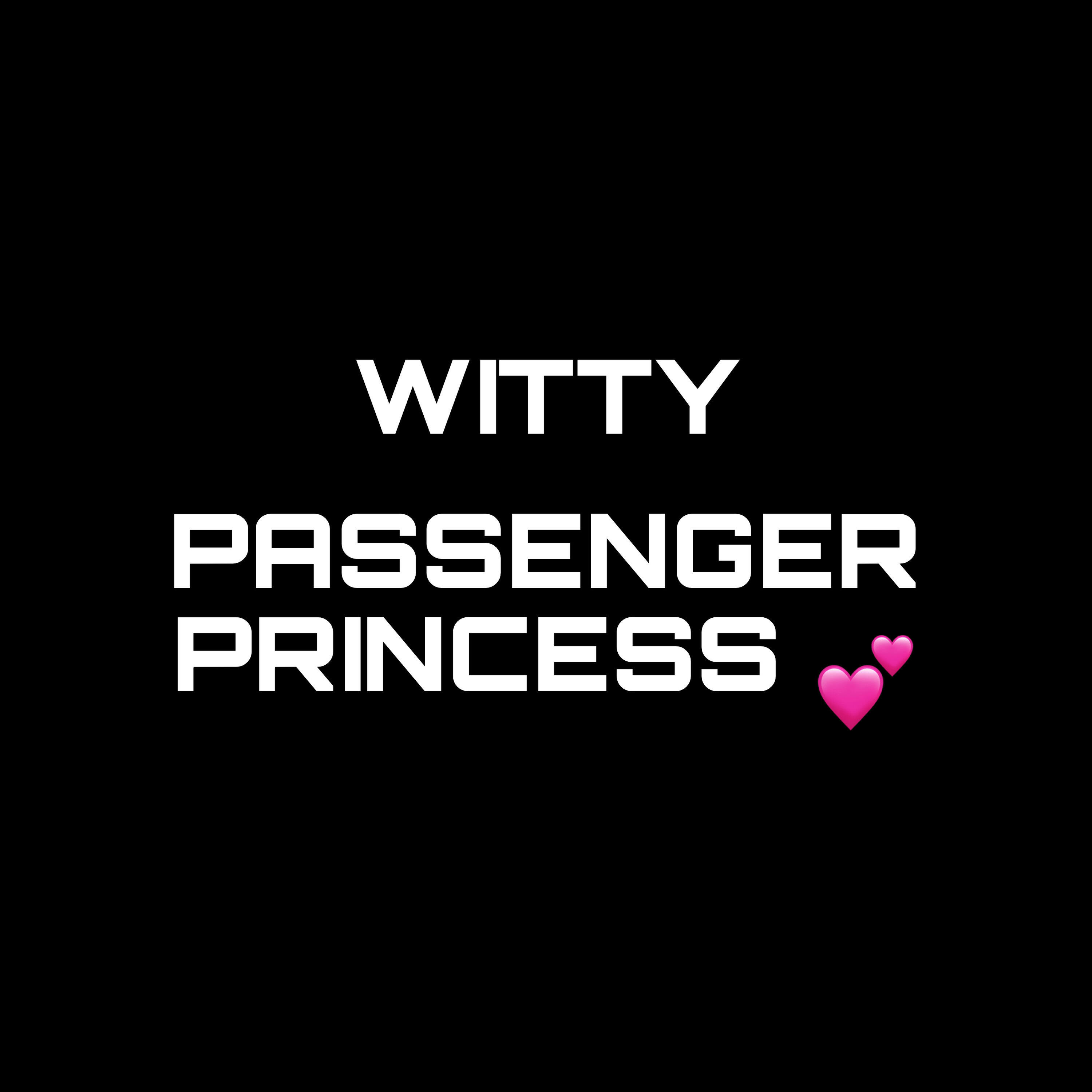 Релиз Passenger Princess