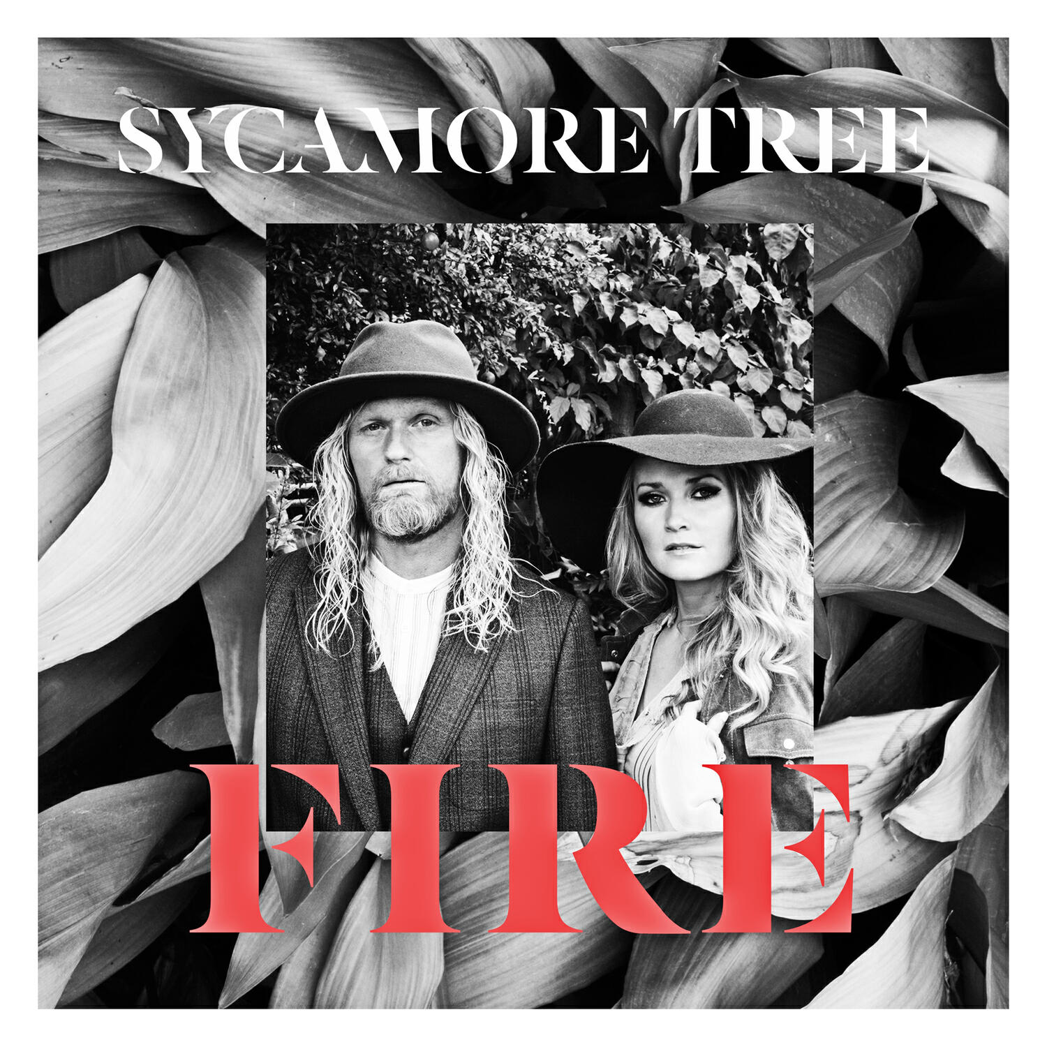 Релиз Fire