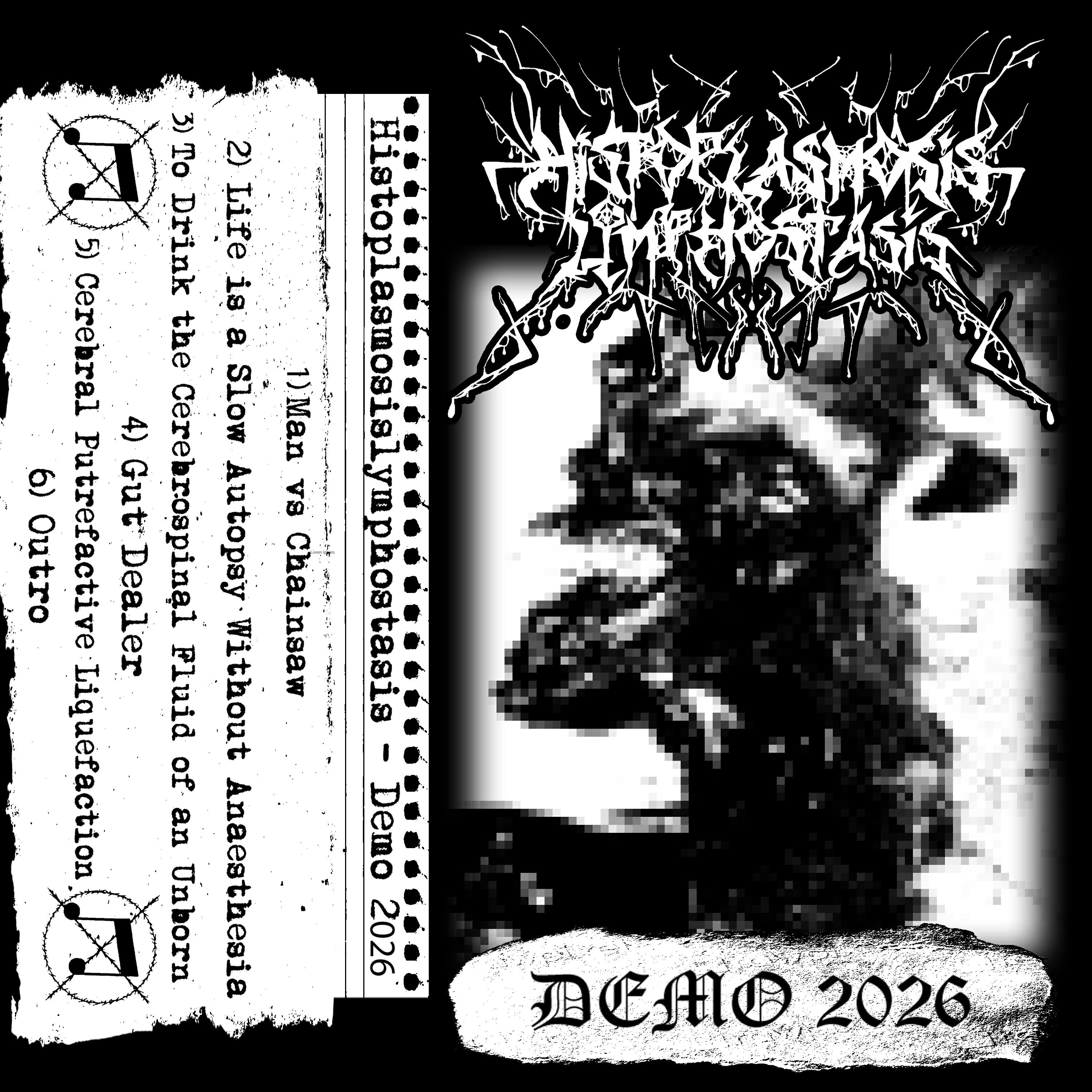 Релиз Demo 2026