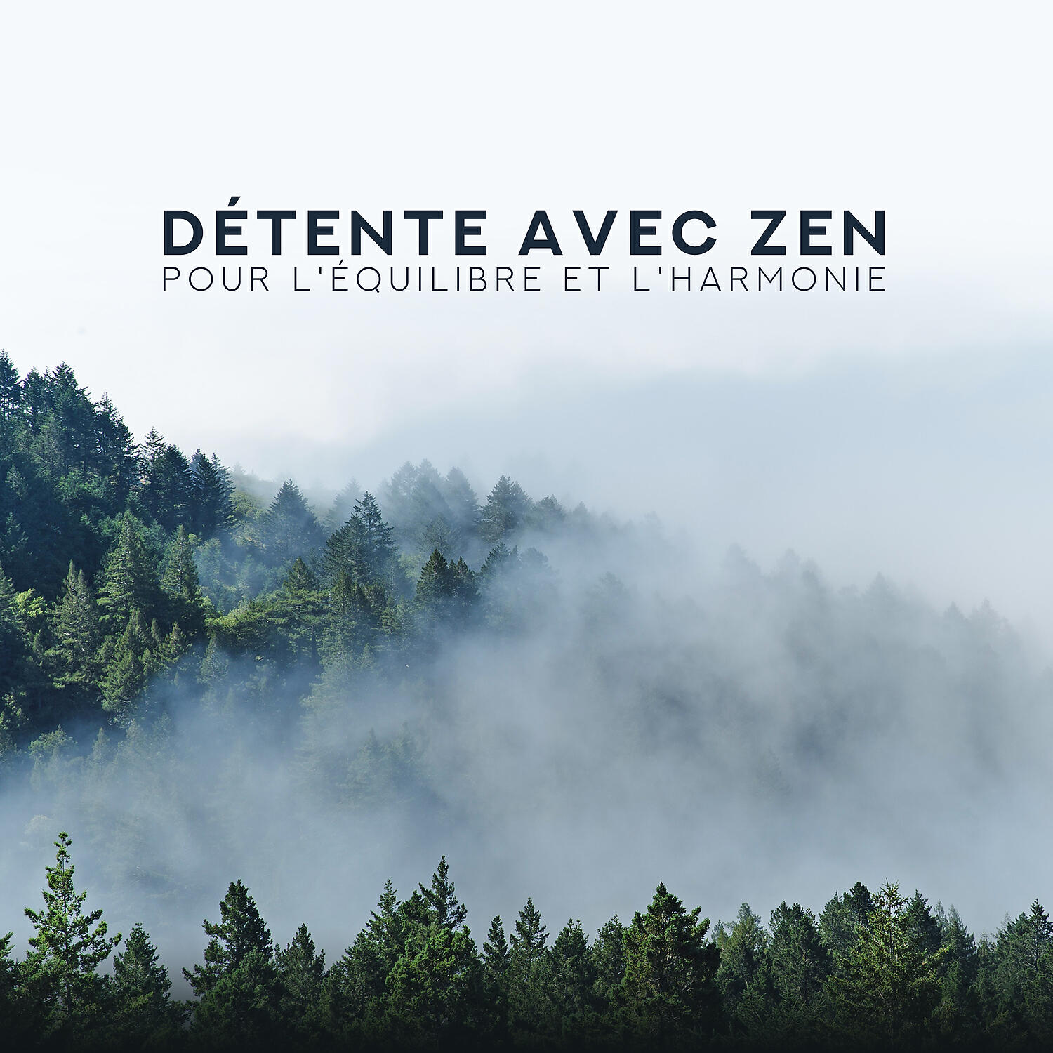 Релиз Détente avec zen pour l'équilibre et l'harmonie: Bouddhisme, Hypnose, Énergie Chi, Sophrologie, Nature
