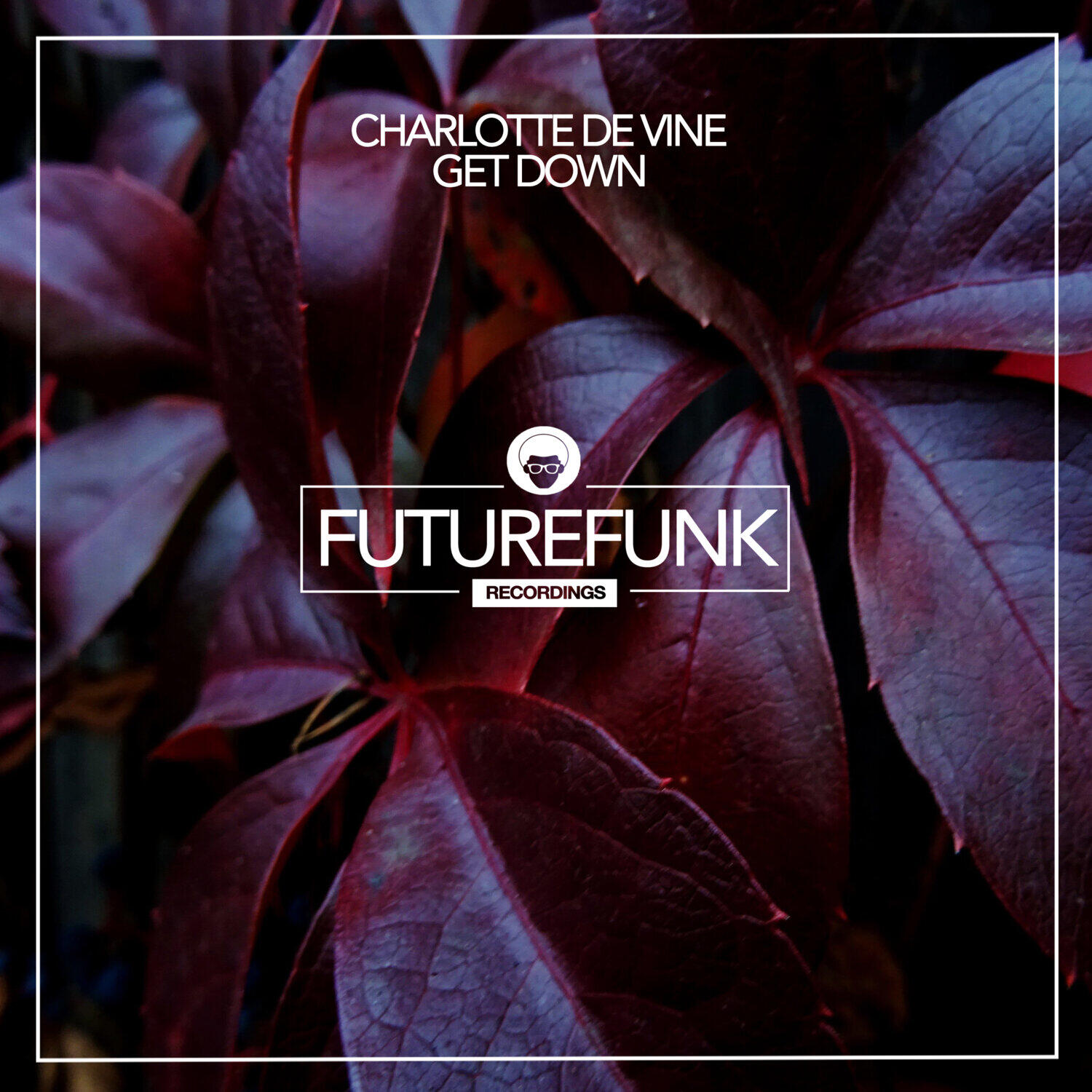 Charlotte De Vine