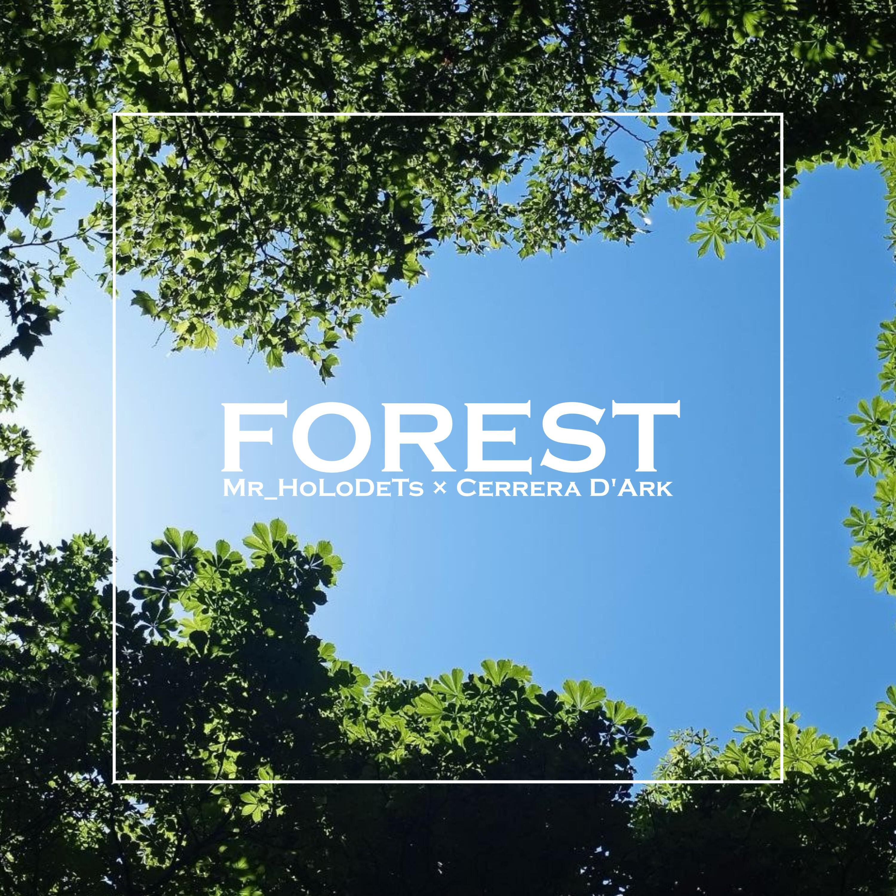 Релиз Forest
