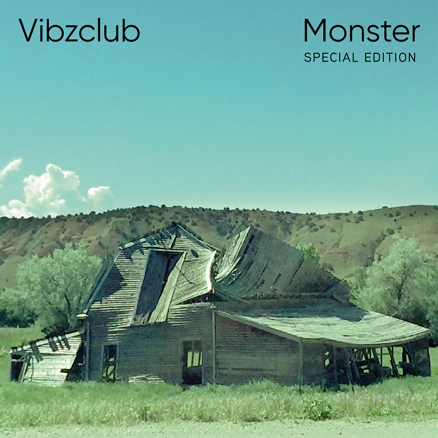 Vibzclub