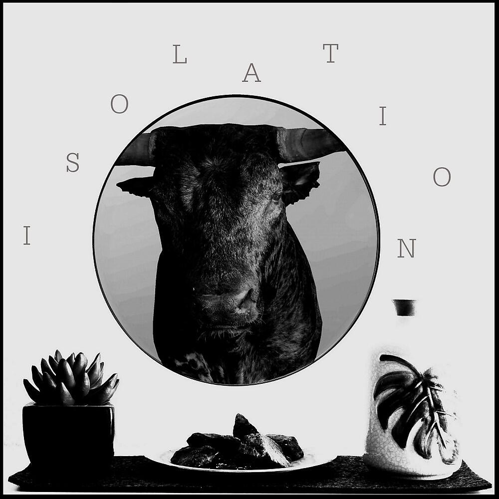 Релиз Isolation