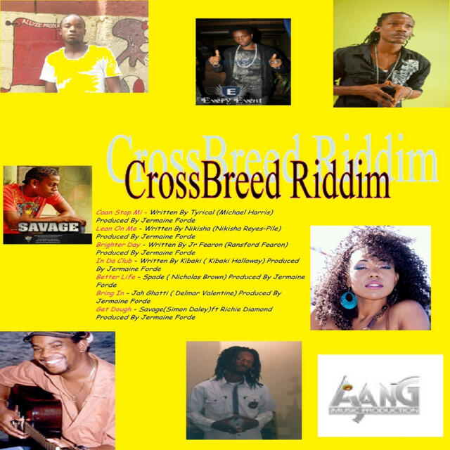 Релиз Cross Breed Riddim