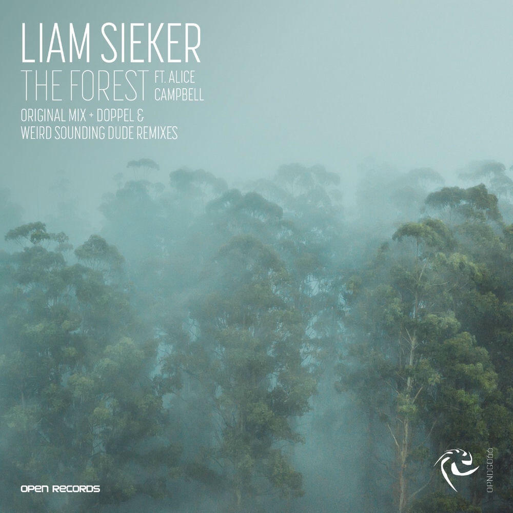 Релиз The Forest