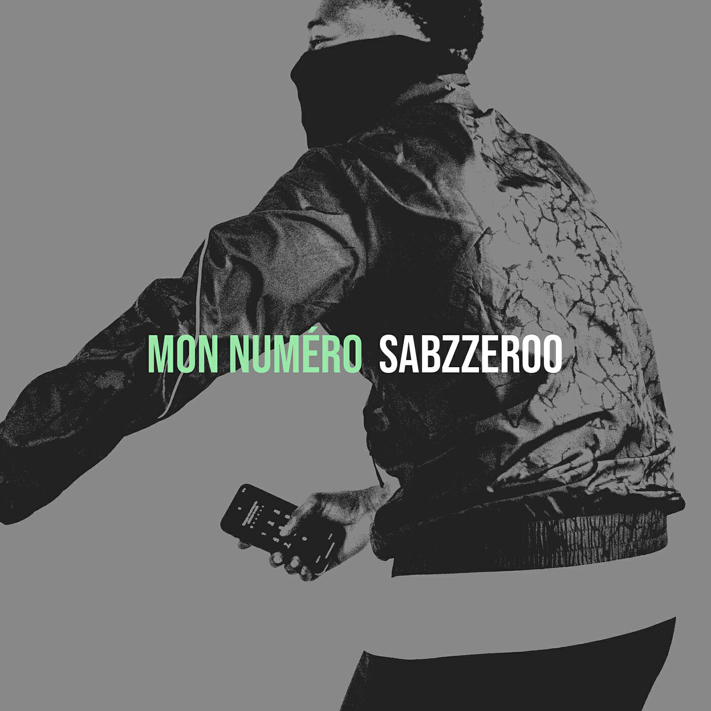 Sabzzeroo