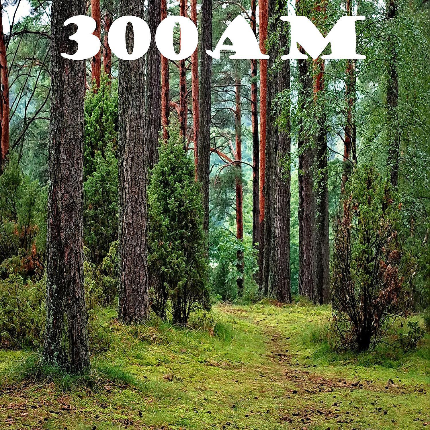 Релиз 300am