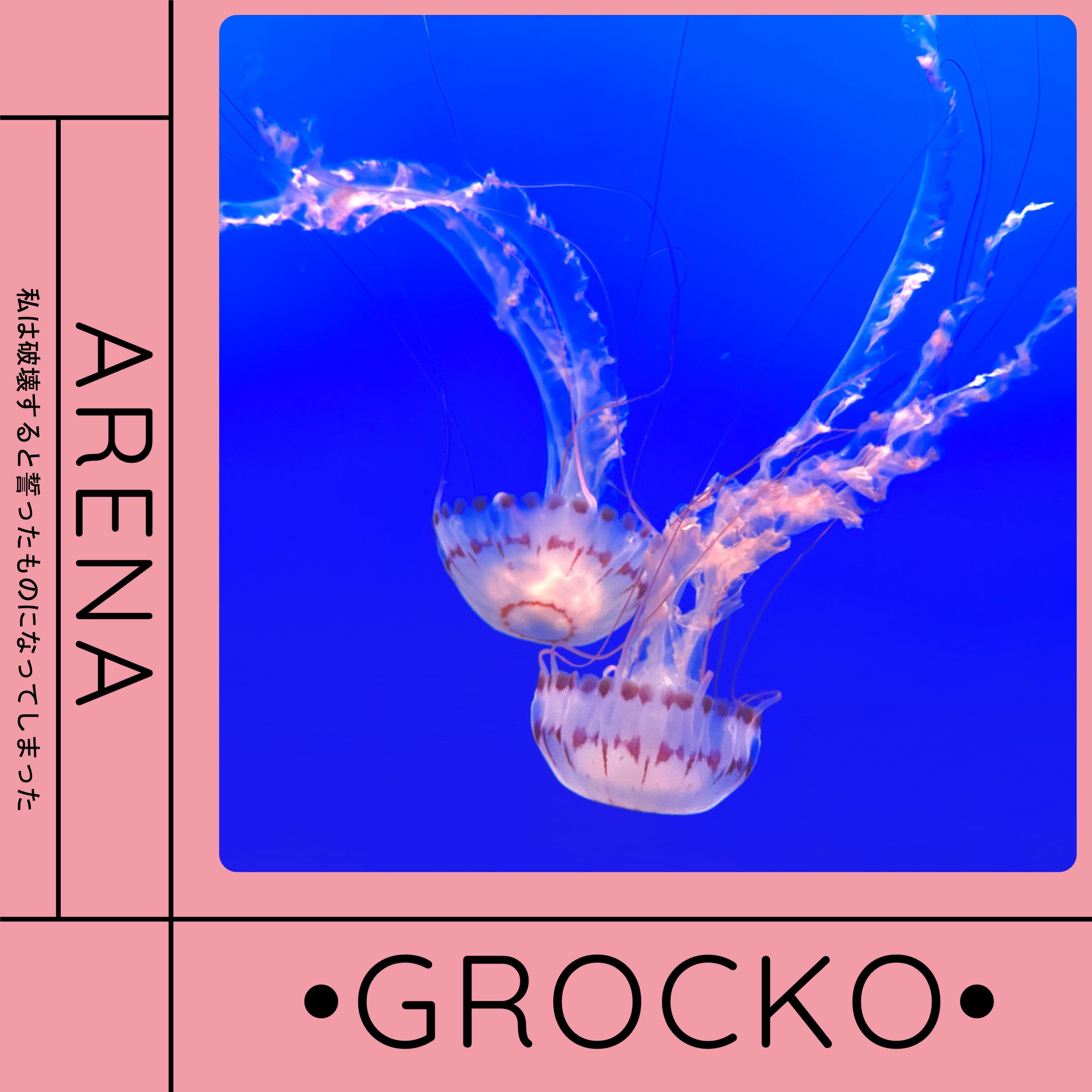 Релиз Arena