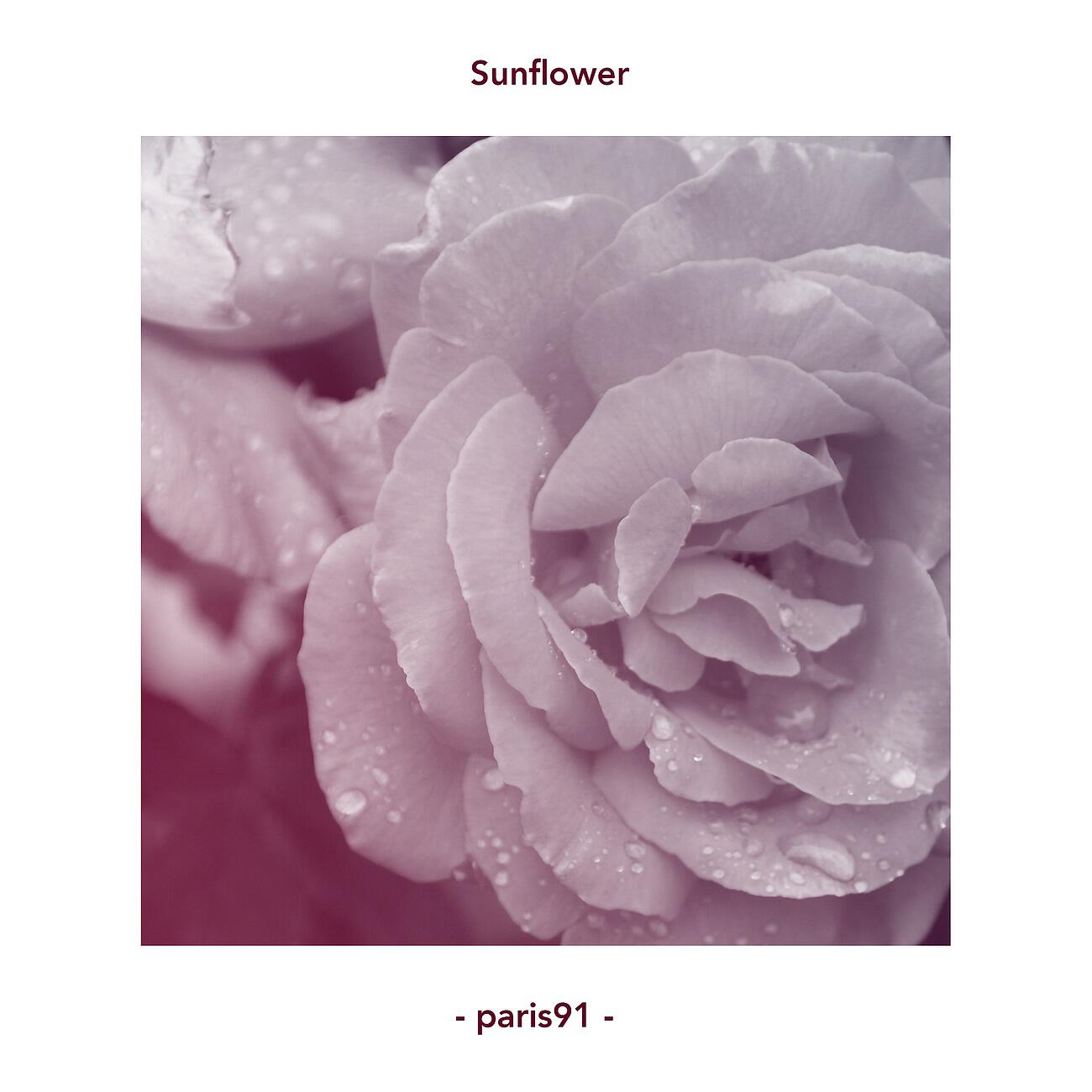 Релиз Sunflower