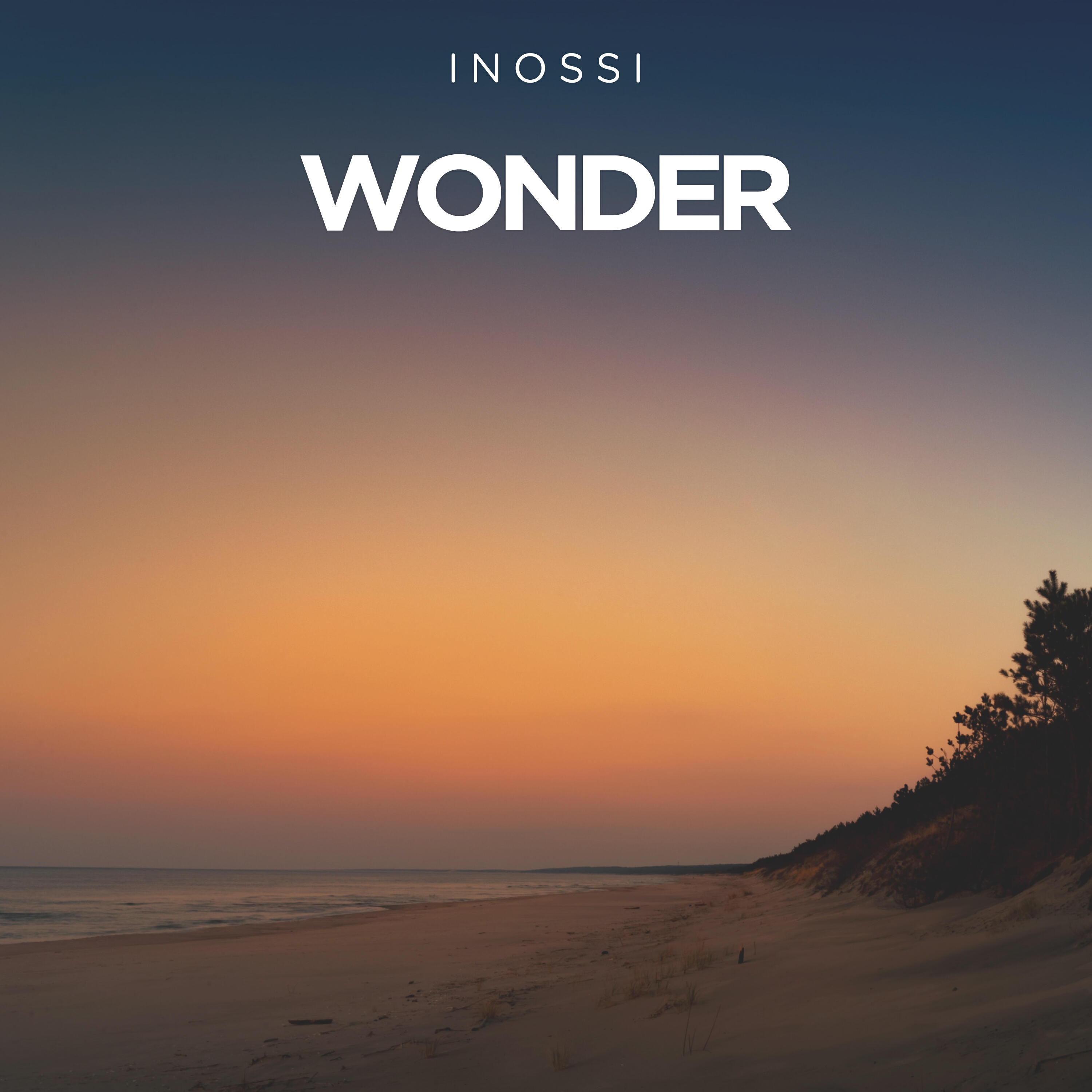 Релиз Wonder