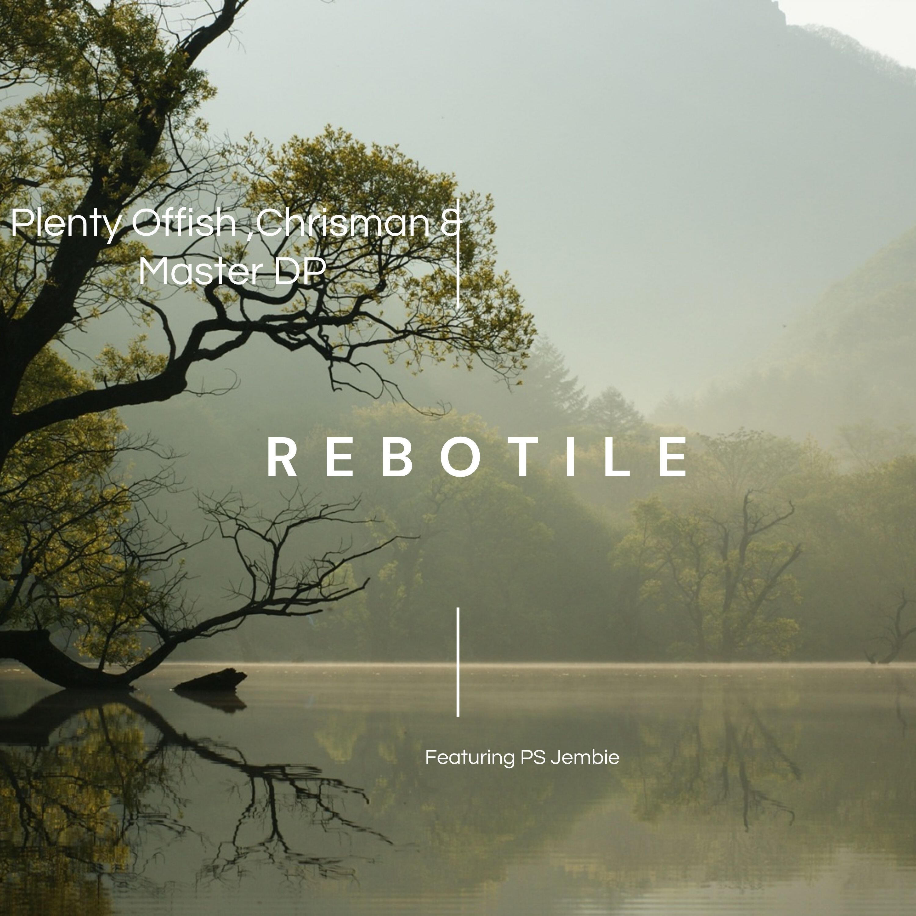 Релиз Rebotile