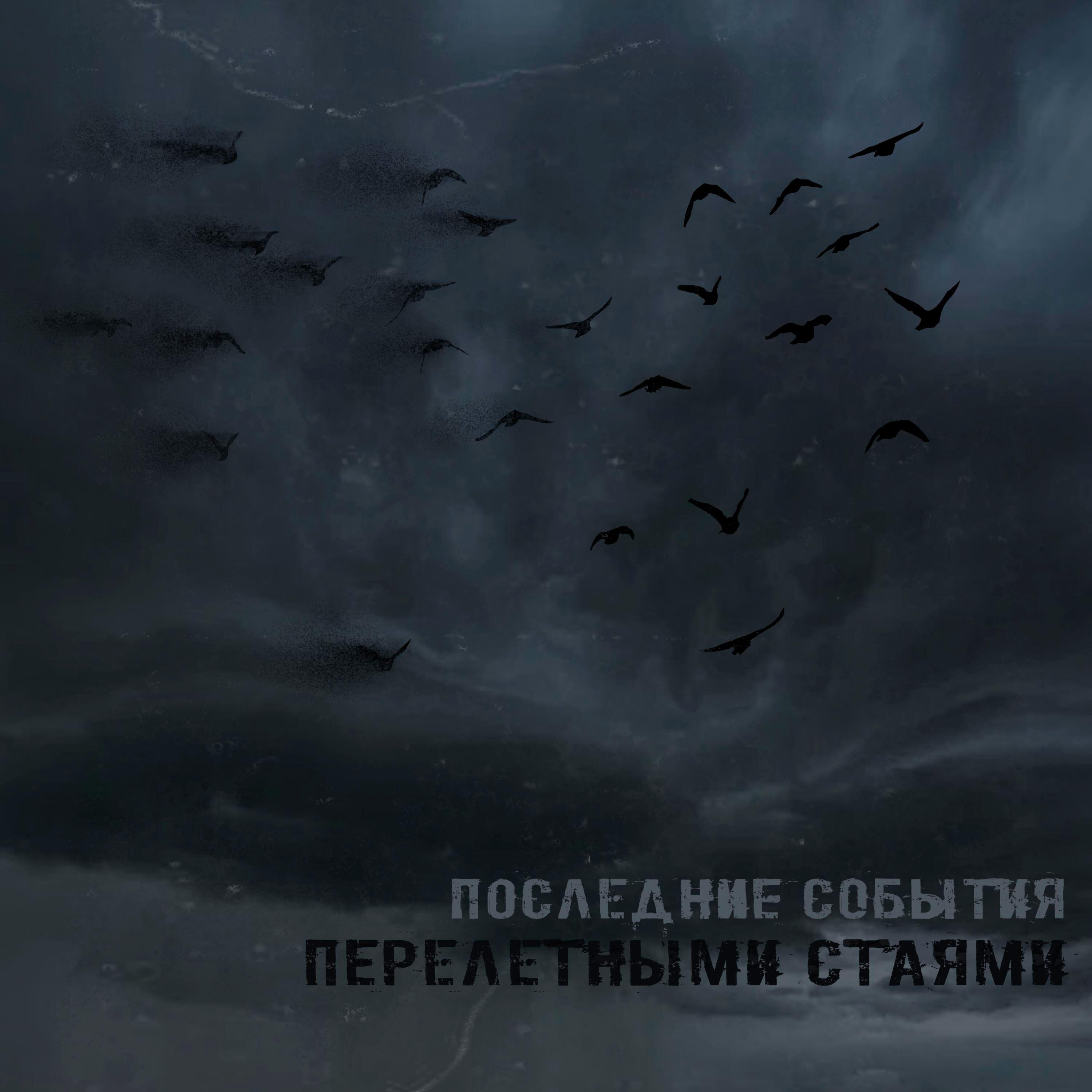 Релиз Перелётными стаями