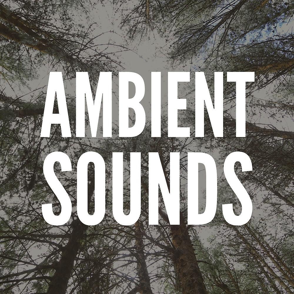 Релиз Ambient Sounds