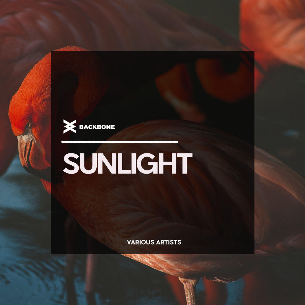 Релиз Sunlight