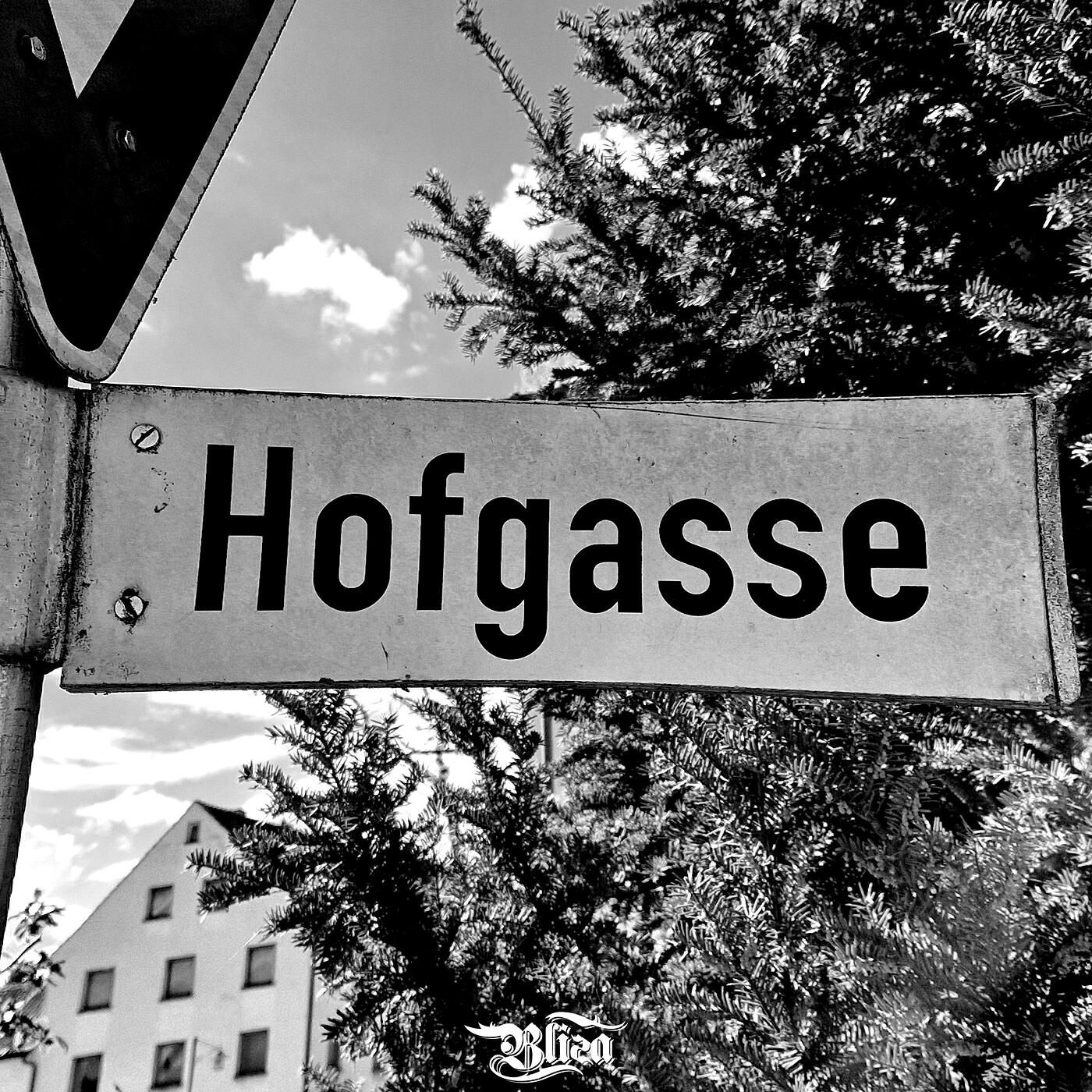 Релиз Hofgasse