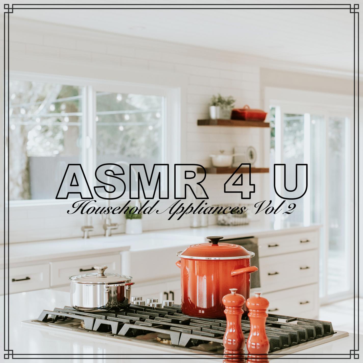 Релиз Household Appliances, Vol. II