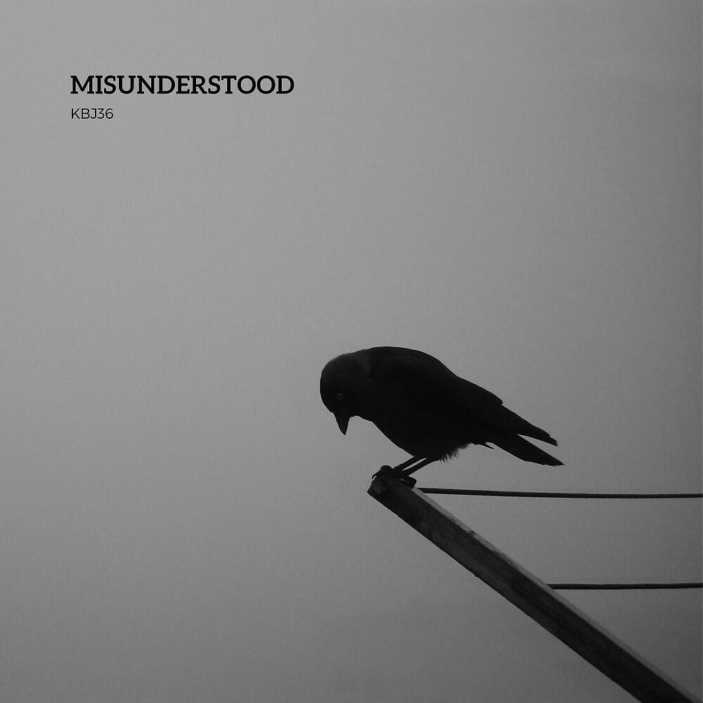 Релиз Misunderstood