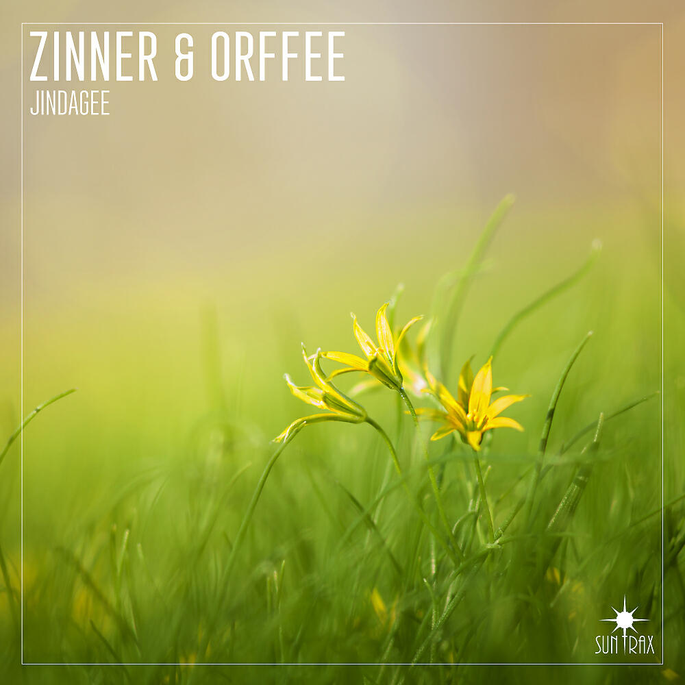 Релиз Jindagee