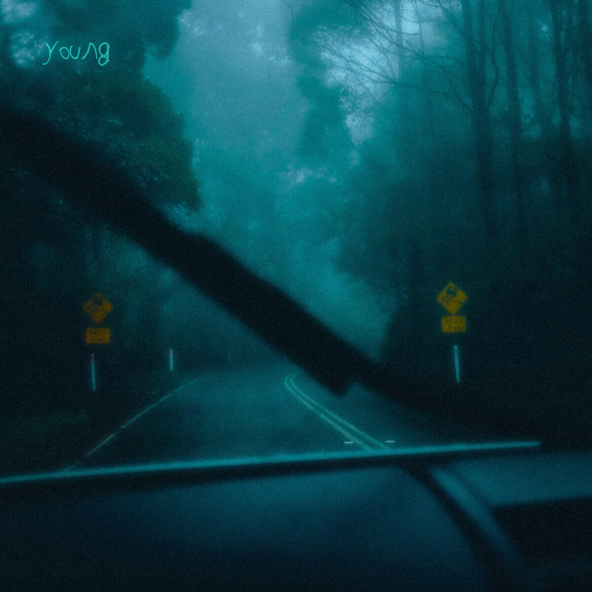 Релиз Young