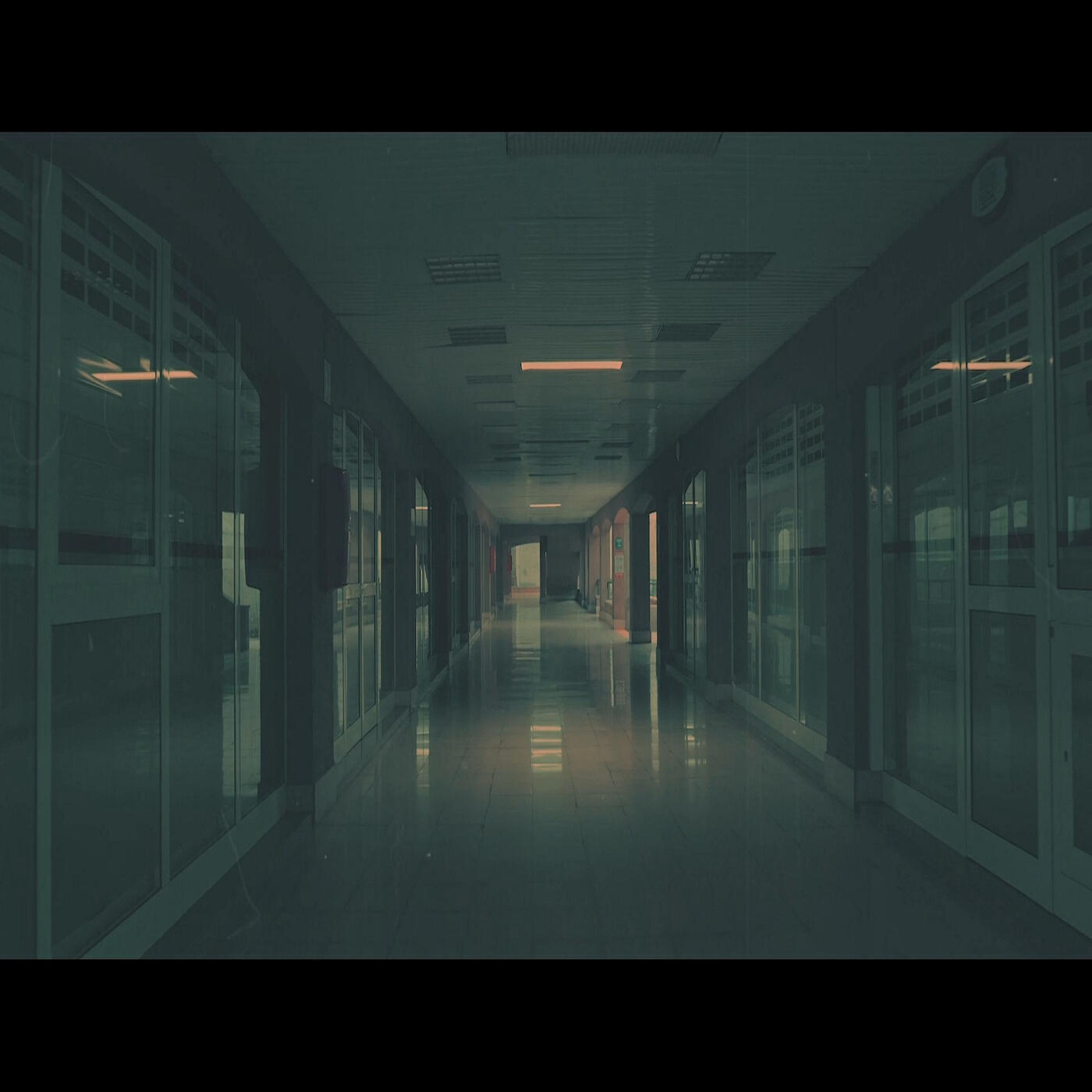 Релиз Things You Didn't Say