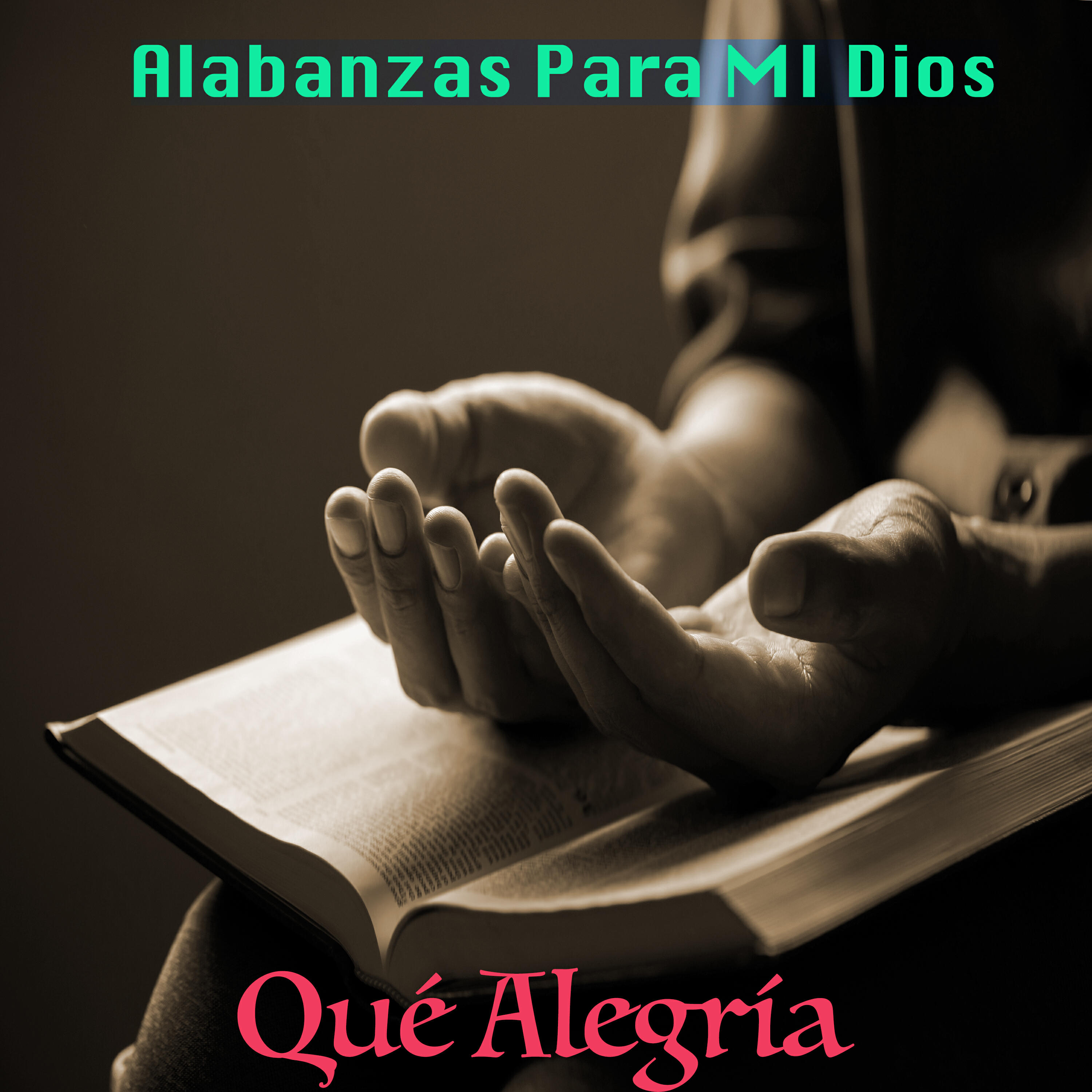 Постер альбома Que Alegria