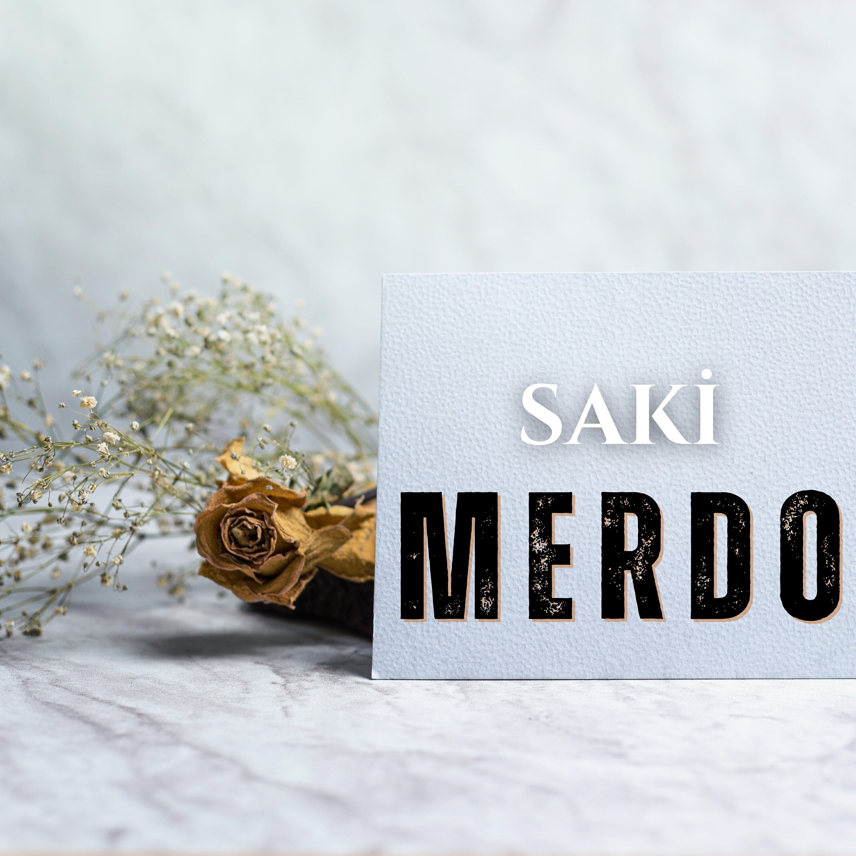 Постер альбома Merdo