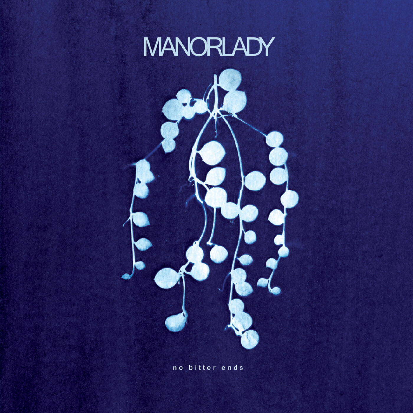 Релиз No Bitter Ends