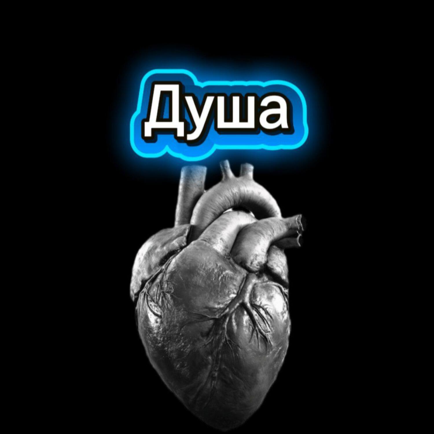Релиз Душа