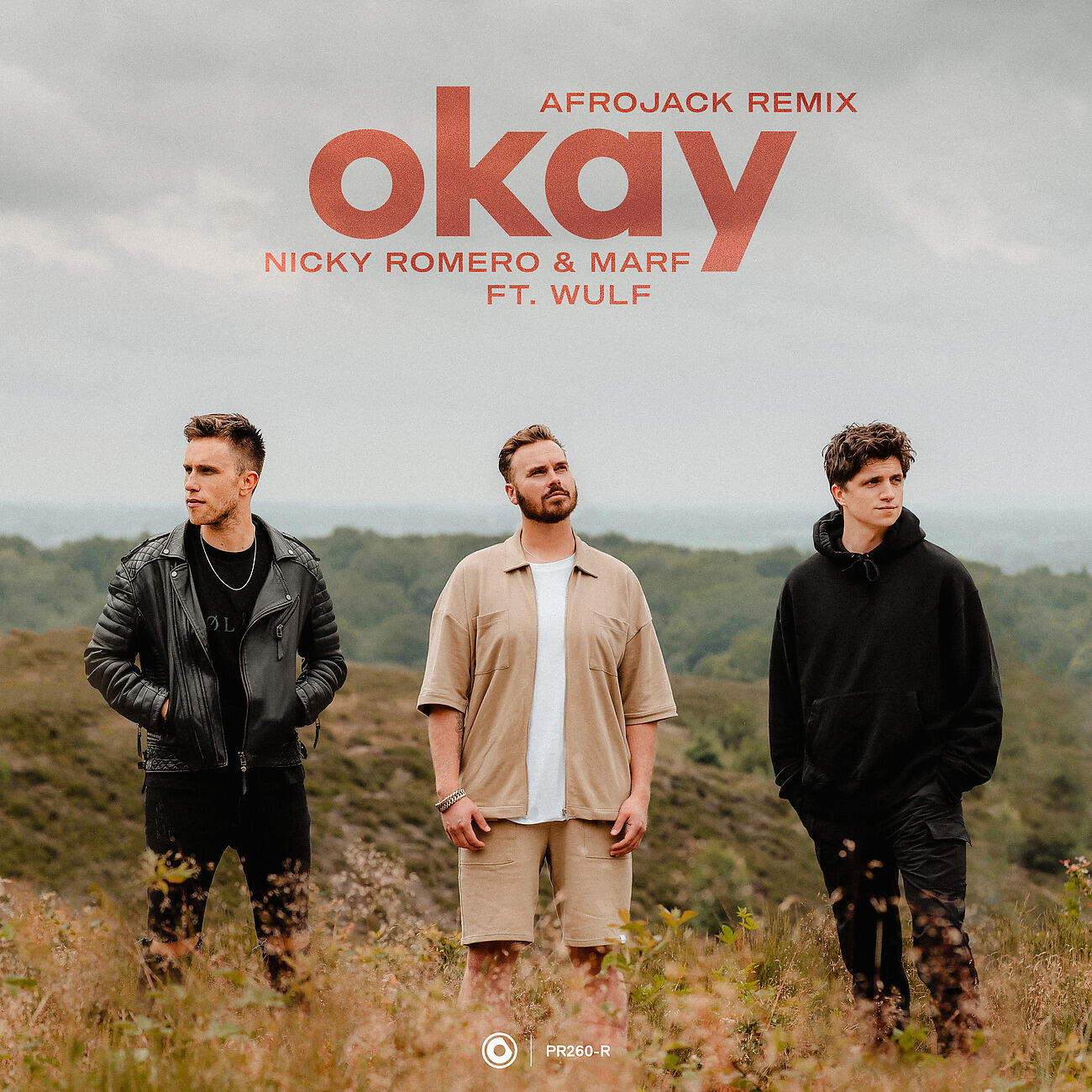 Релиз Okay