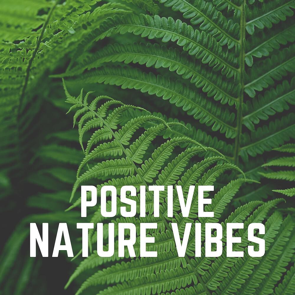 Релиз Positive Nature Vibes