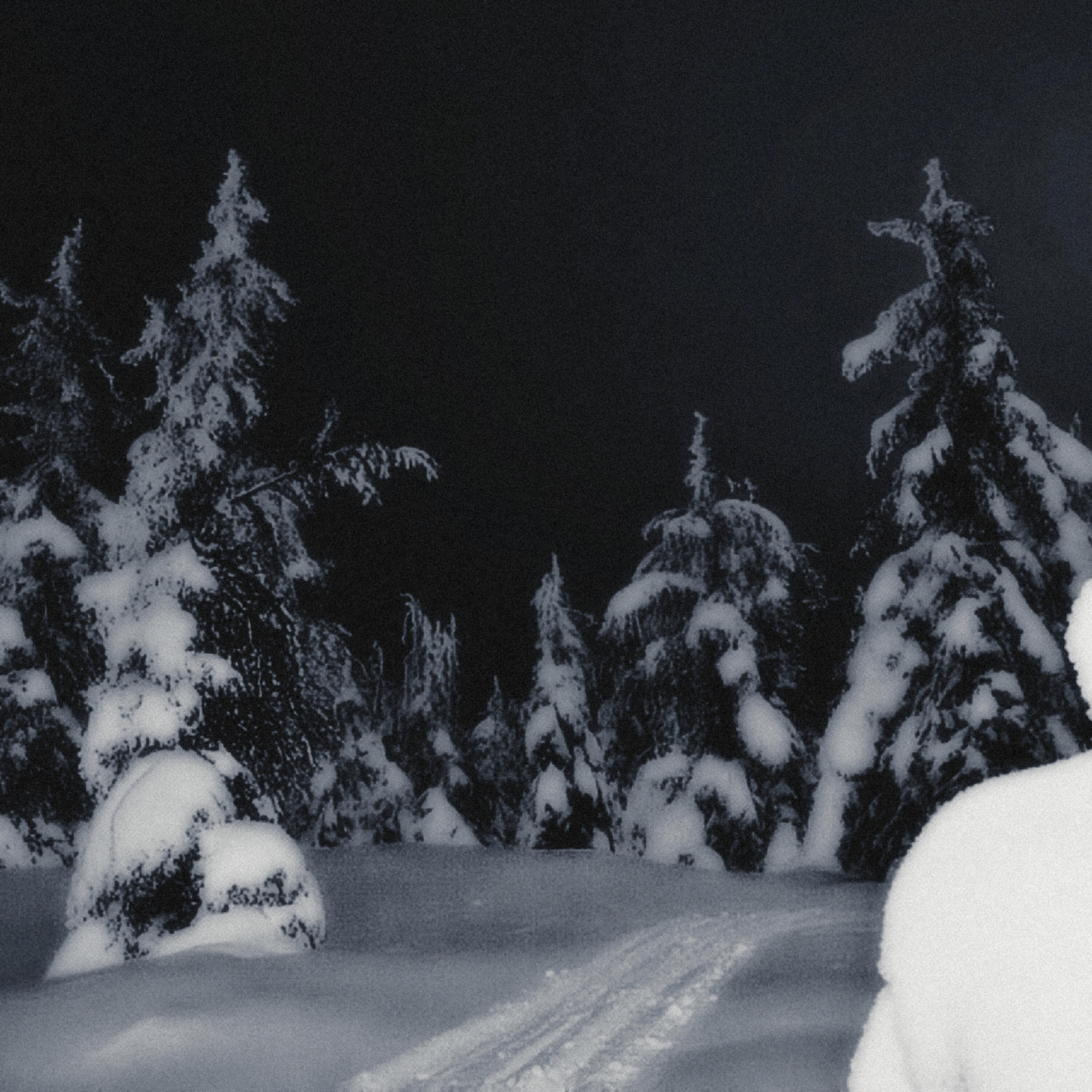 Релиз WINTER ARC