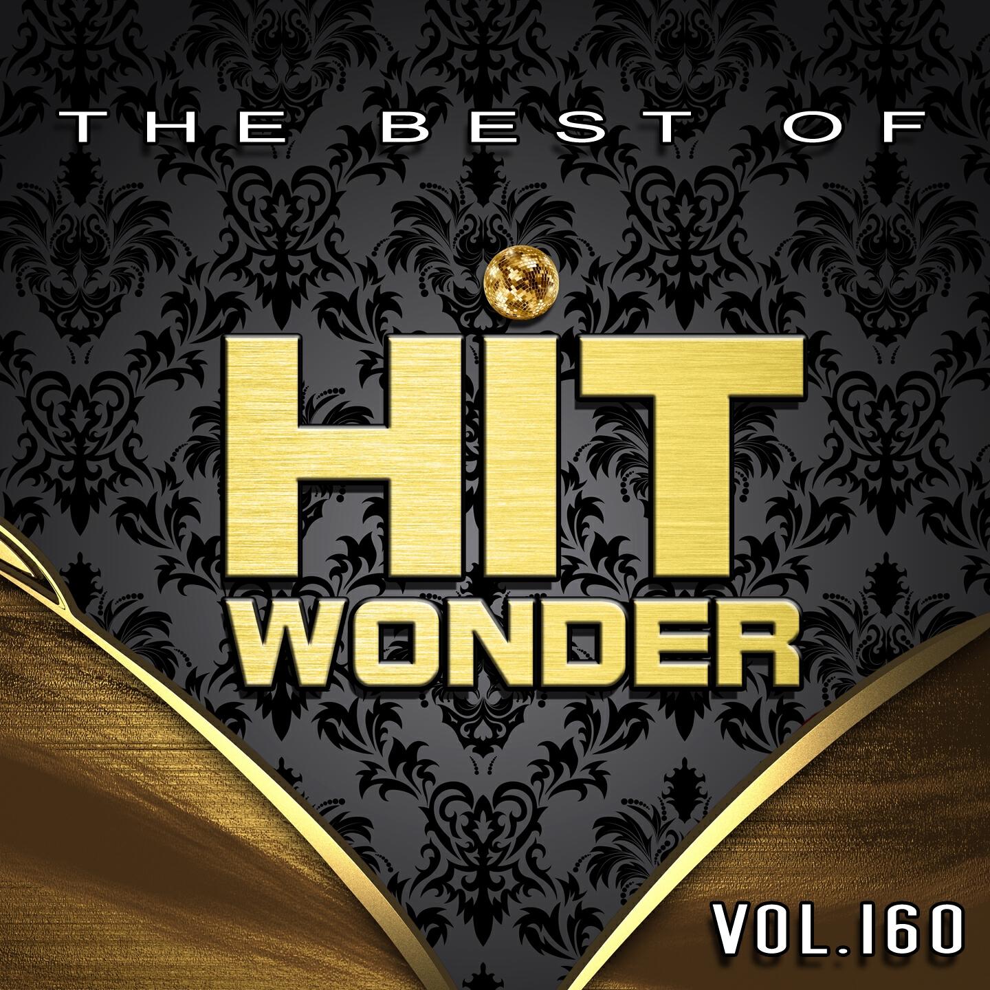 Постер альбома Hit Wonder: The Best of, Vol. 160