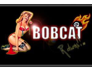 Bobcat