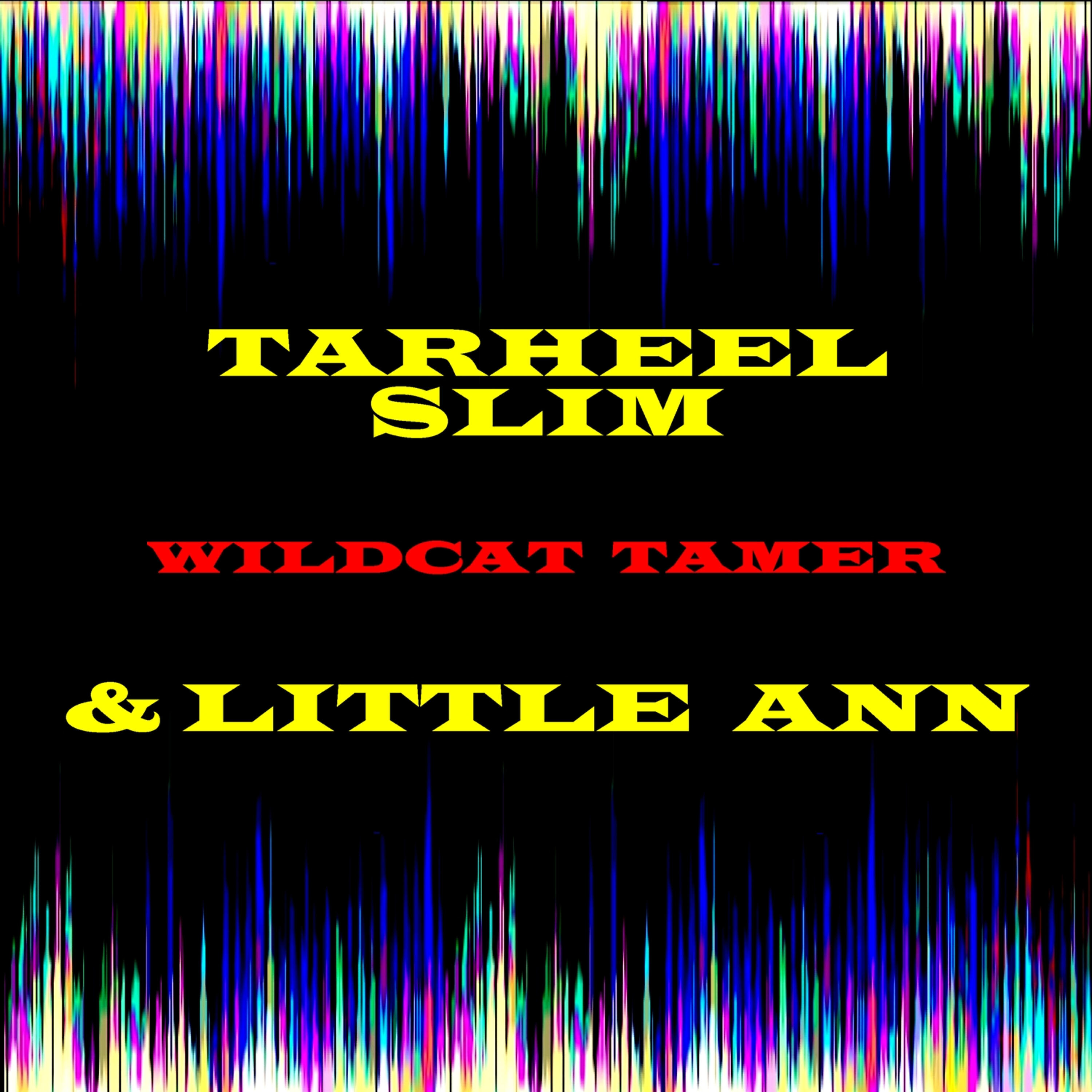 Релиз Wildcat Tamer