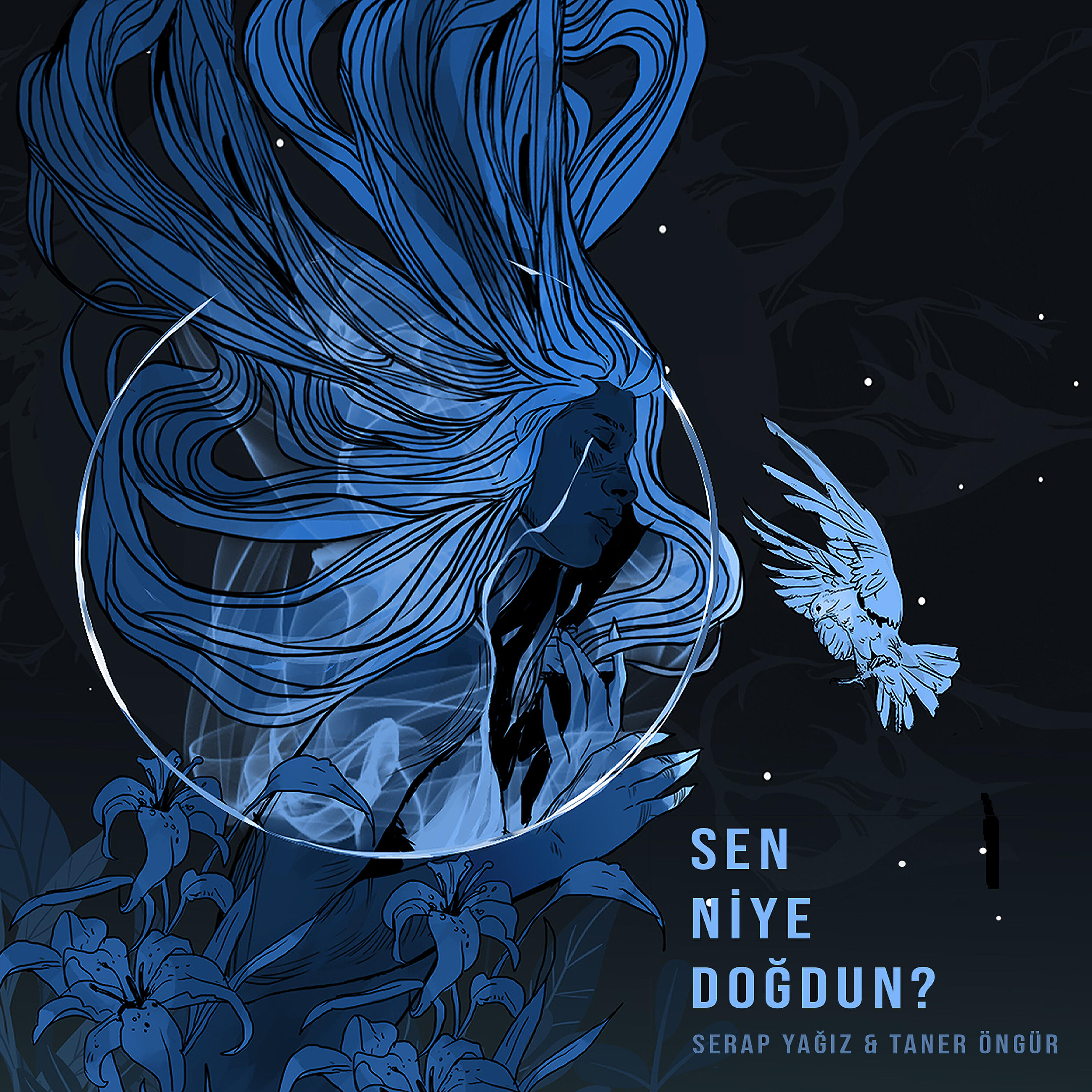 Релиз Sen Niye Doğdun?