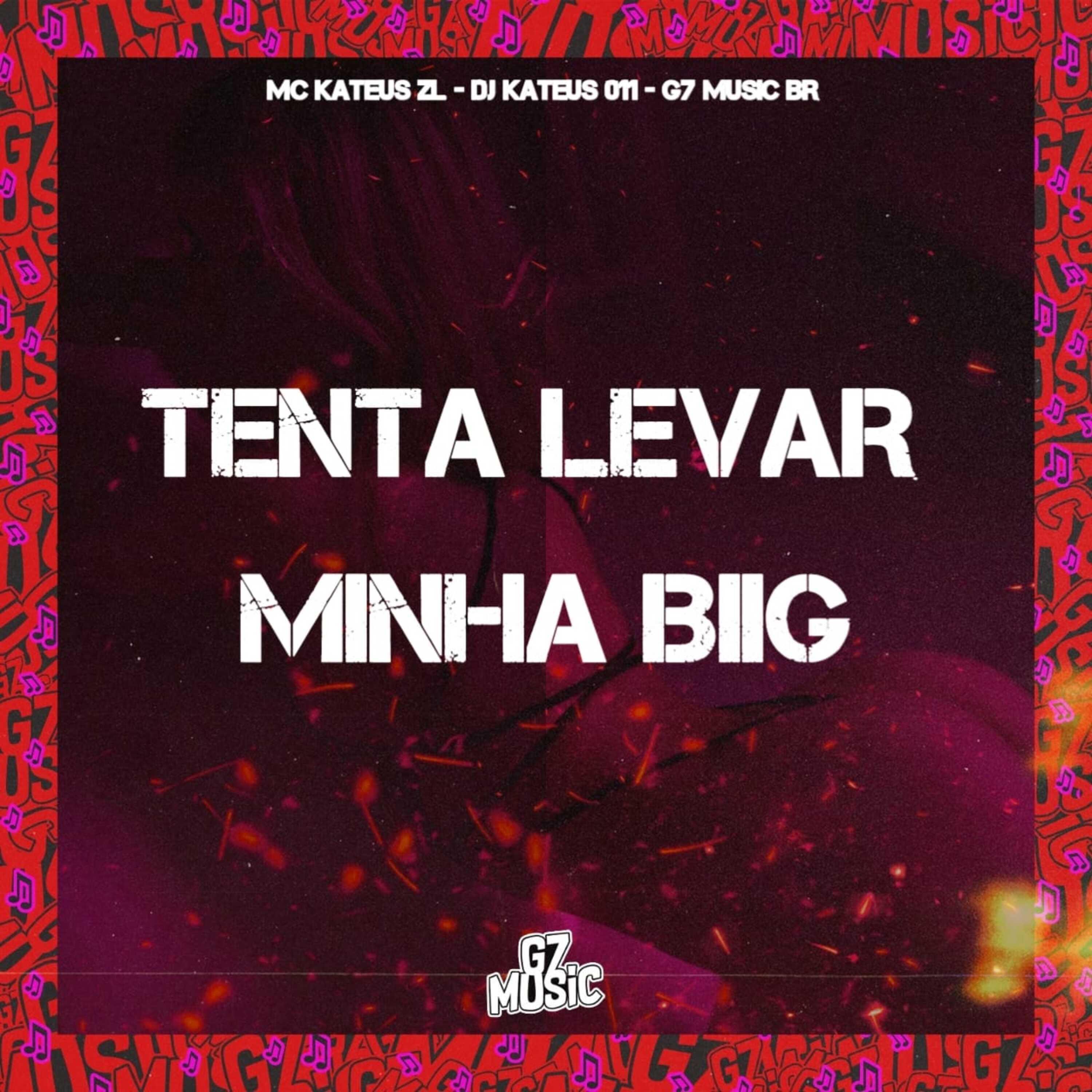 Скачать песню MC Kateus ZL, DJ KTEUS 011 - Tenta Levar Minha Biig бесплатно в MP3 для Android и iOS