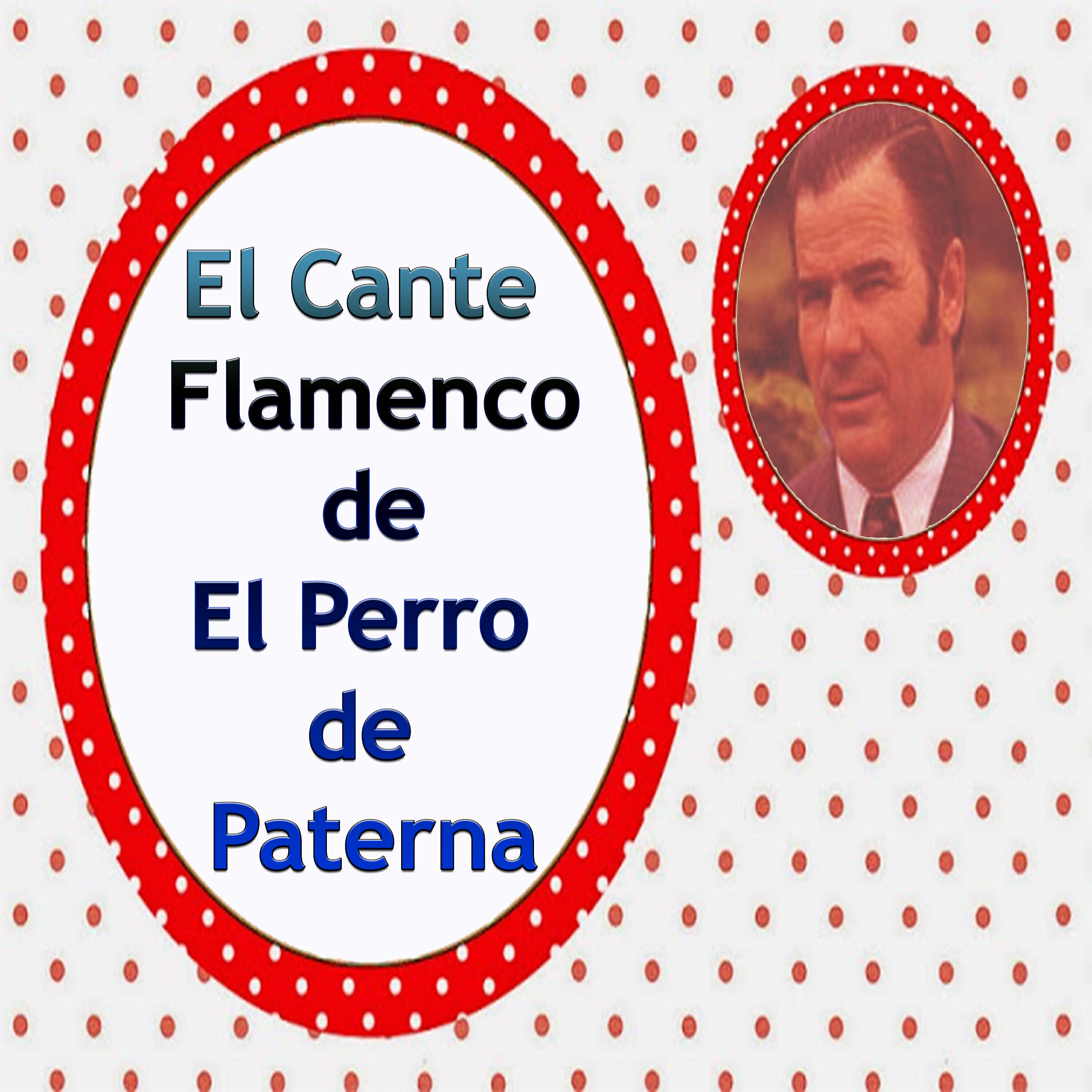 Релиз El Cante Flamenco de el Perro de Paterna