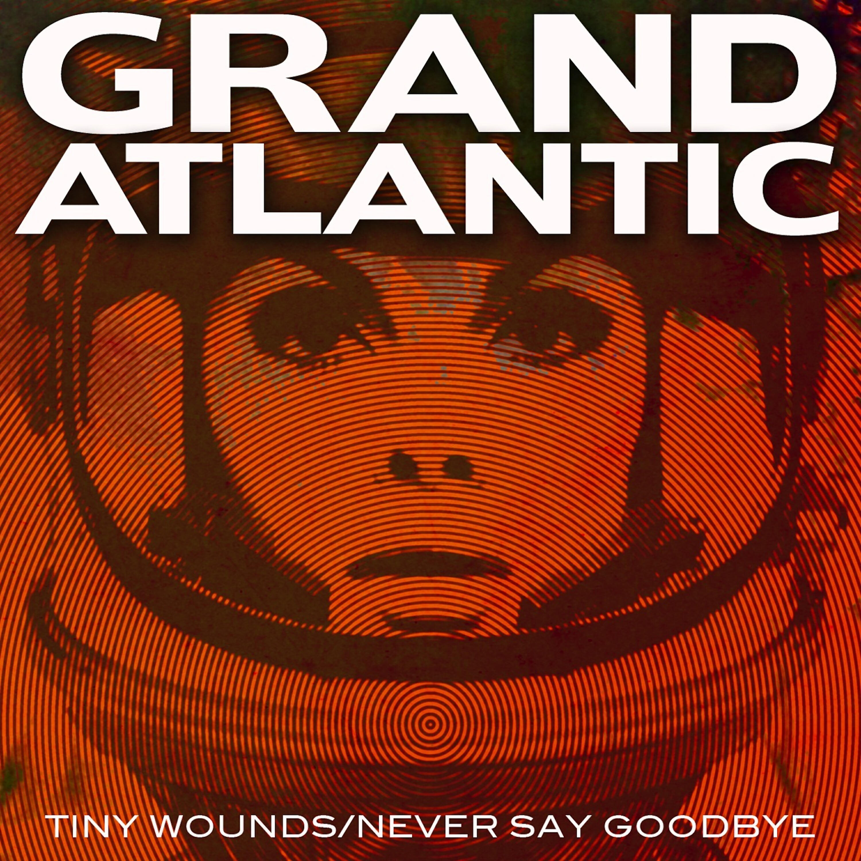 Релиз Tiny Wounds/Never Say Goodbye